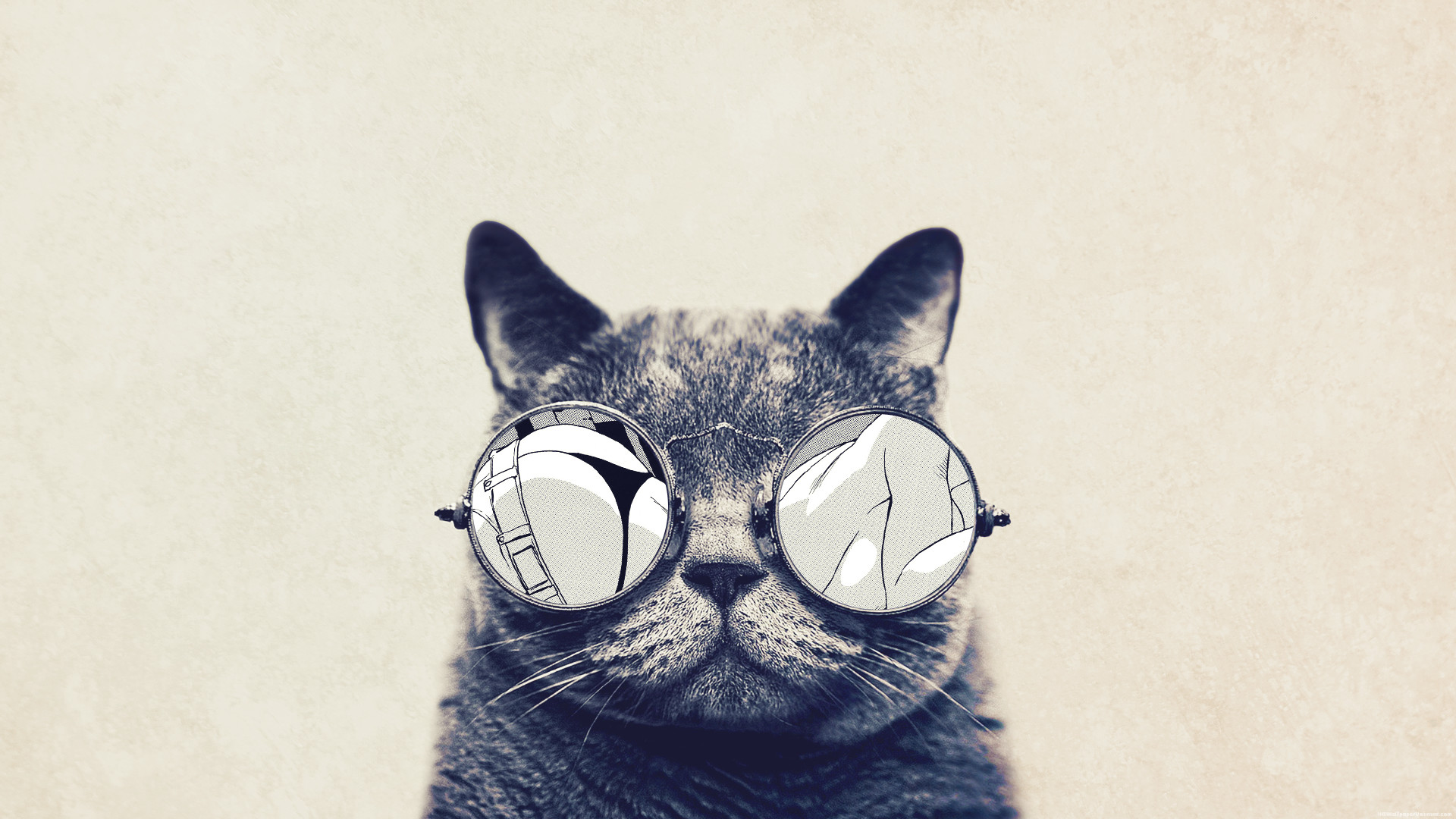 Gatto, Occhiali tondi, Sfondo beige, Minimalismo, Full HD, wallpaper per computer