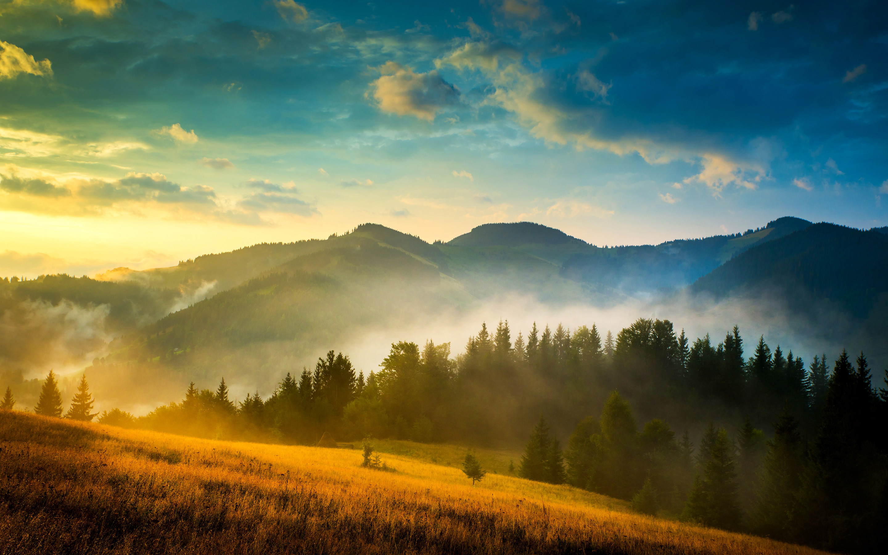Montagne, Nebbia, Foresta, Alba, 2K, sfondo per portatile