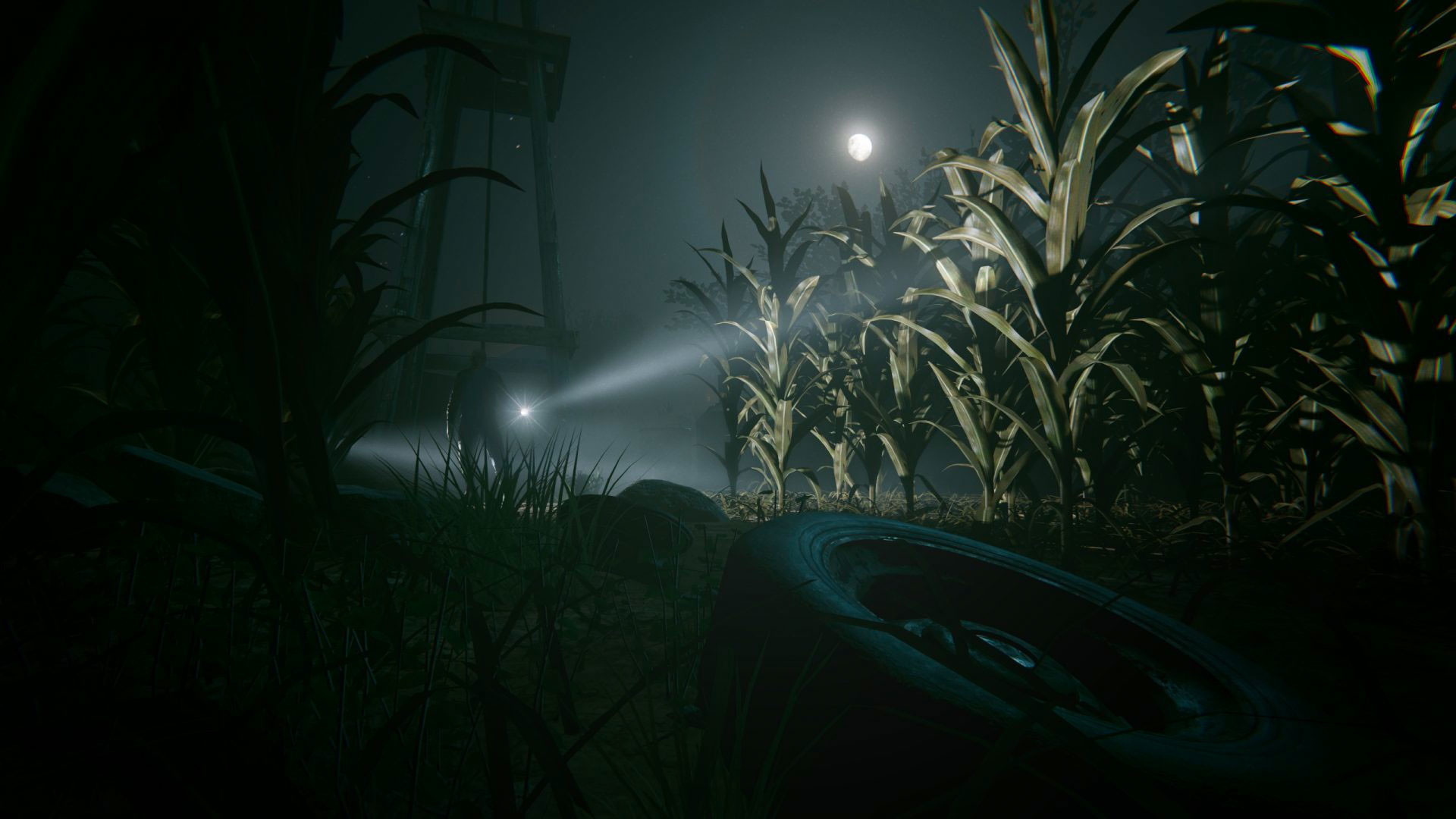 Campo di mais, Notte, Luna, Torcia, Full HD, sfondo per PC e portatile
