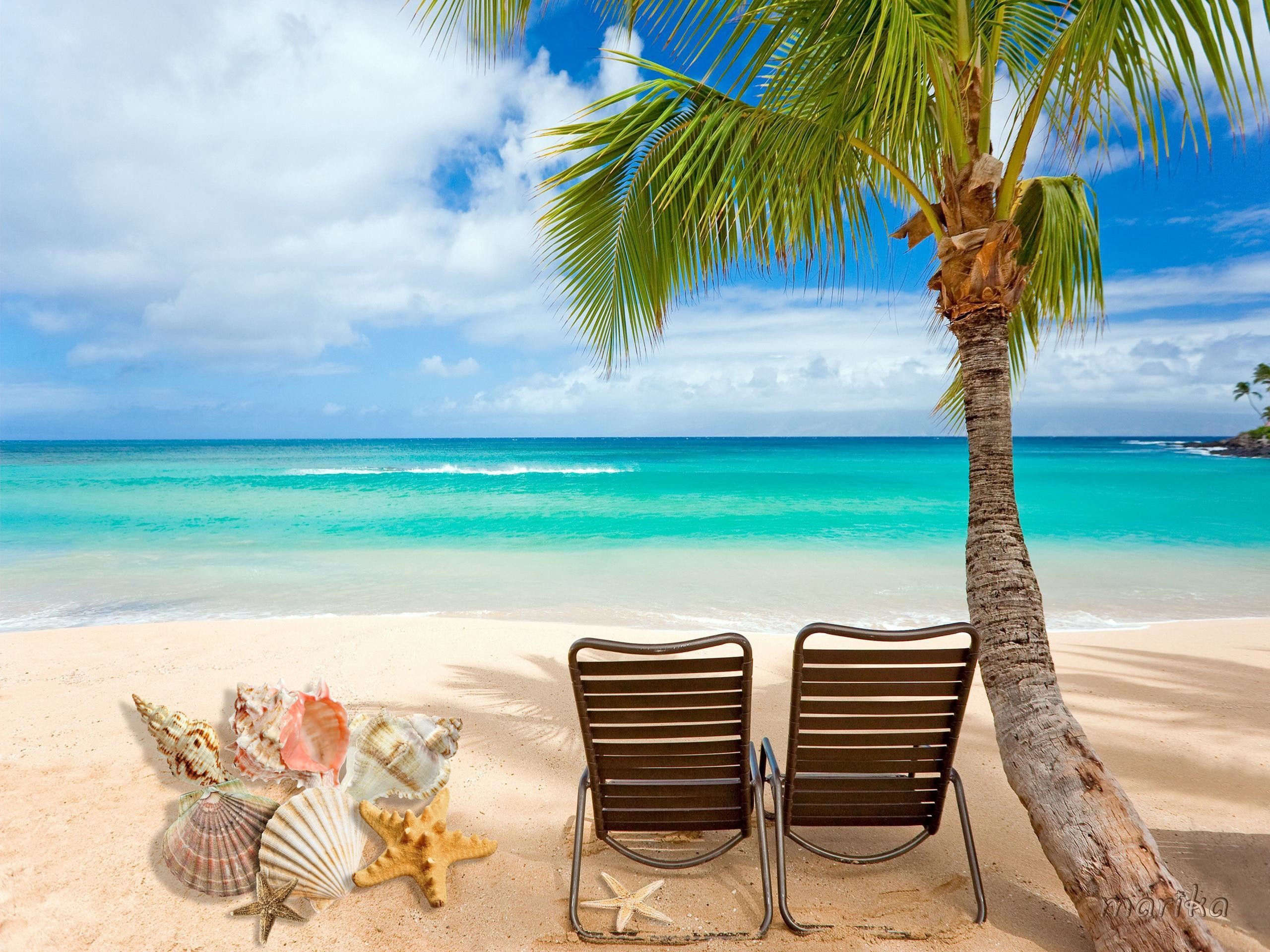 Spiaggia tropicale, Palma, Sdraio, Conchiglie, Mare turchese, 2K, sfondo per iPad e tablet