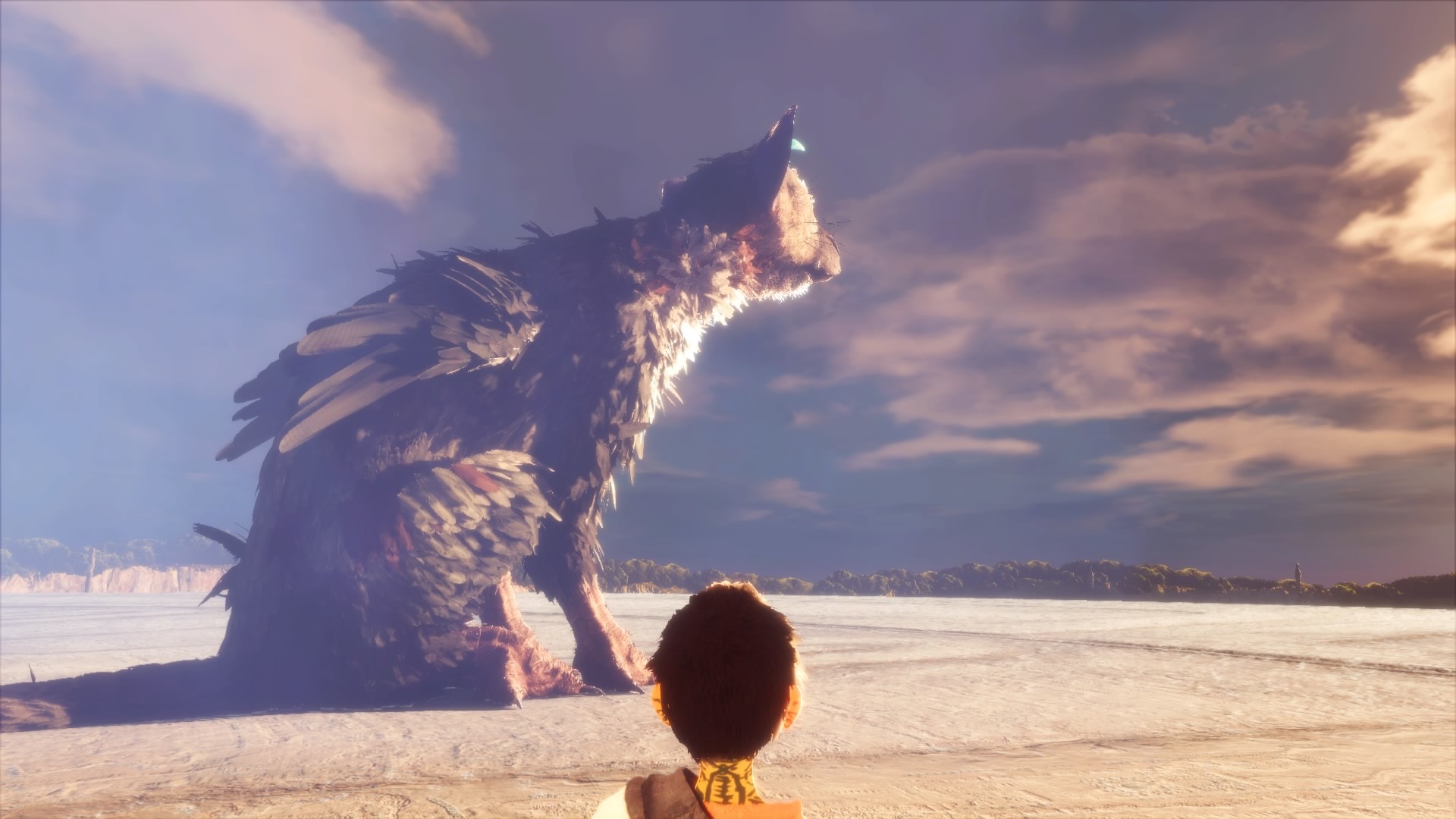 Trico, The Last Guardian, Ragazzo, Tramonto, Full HD, wallpaper per PC