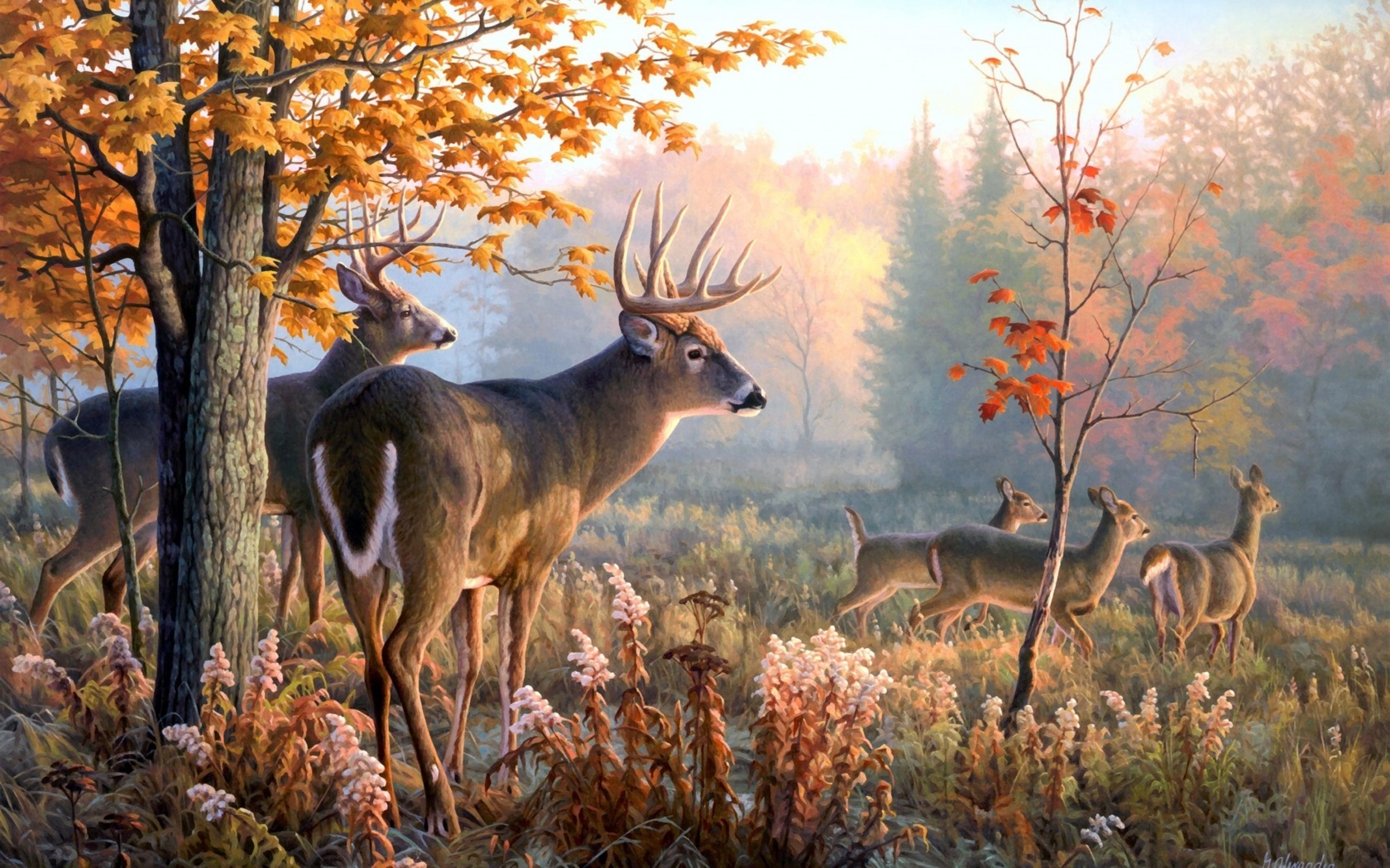 Cervo dalla coda bianca, Branco, Dipinto, Foglie autunnali, 2560x1600, sfondo MacBook Pro