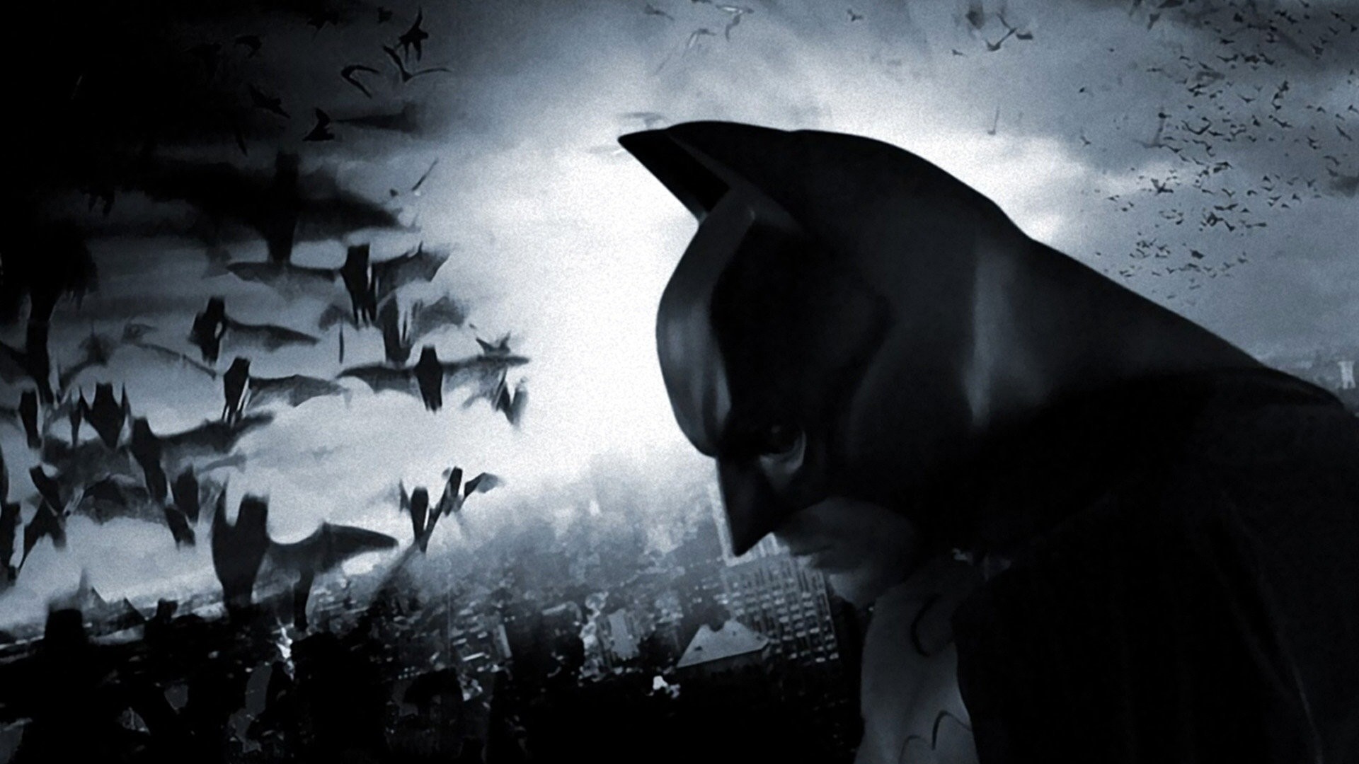 Batman, Batman Begins, Pipistrelli, Profilo, 1920x1080, immagine di sfondo