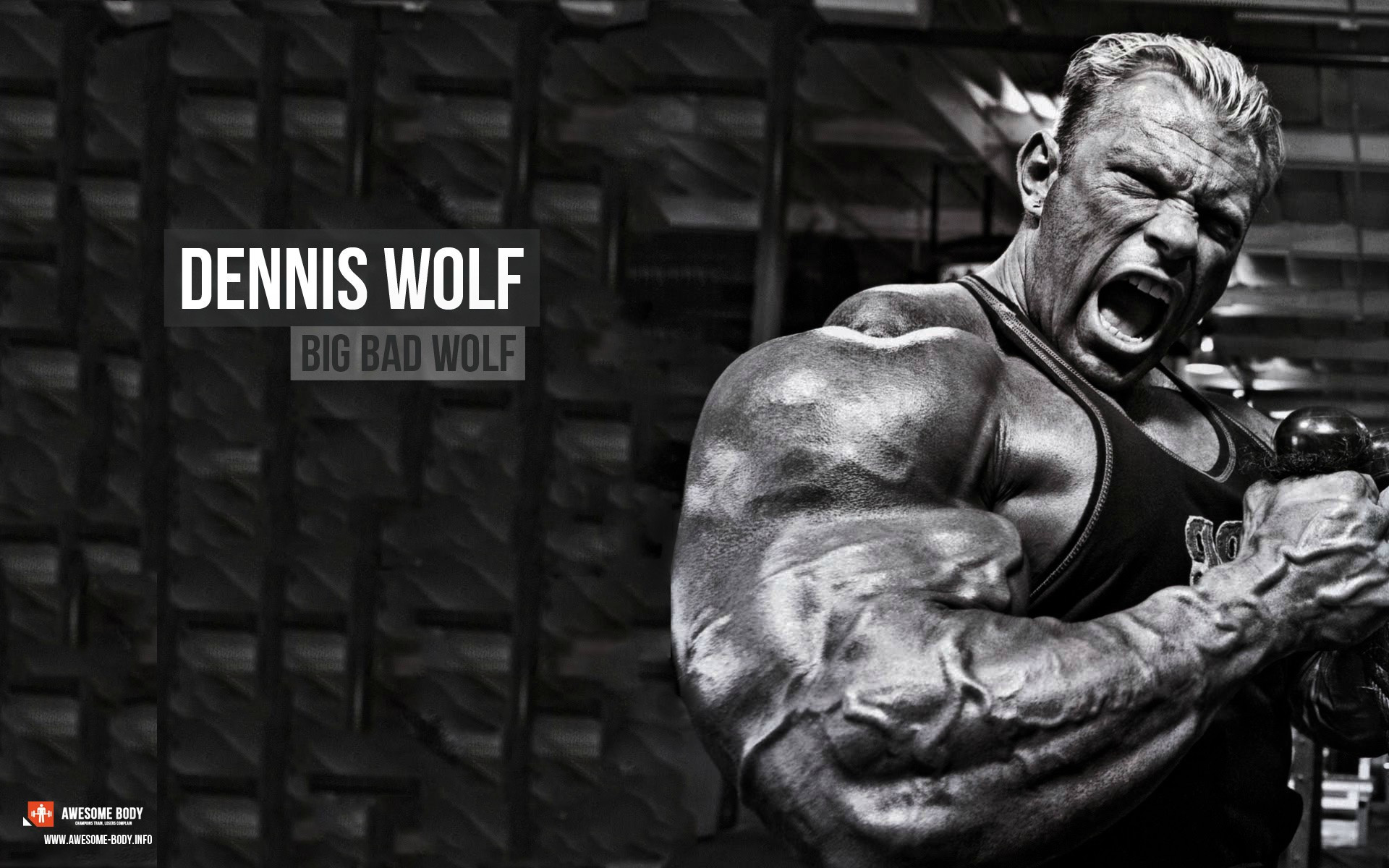 Dennis Wolf, Big Bad Wolf, Bodybuilder, Bianco e nero, Muscoli, 1920x1200, immagine di sfondo