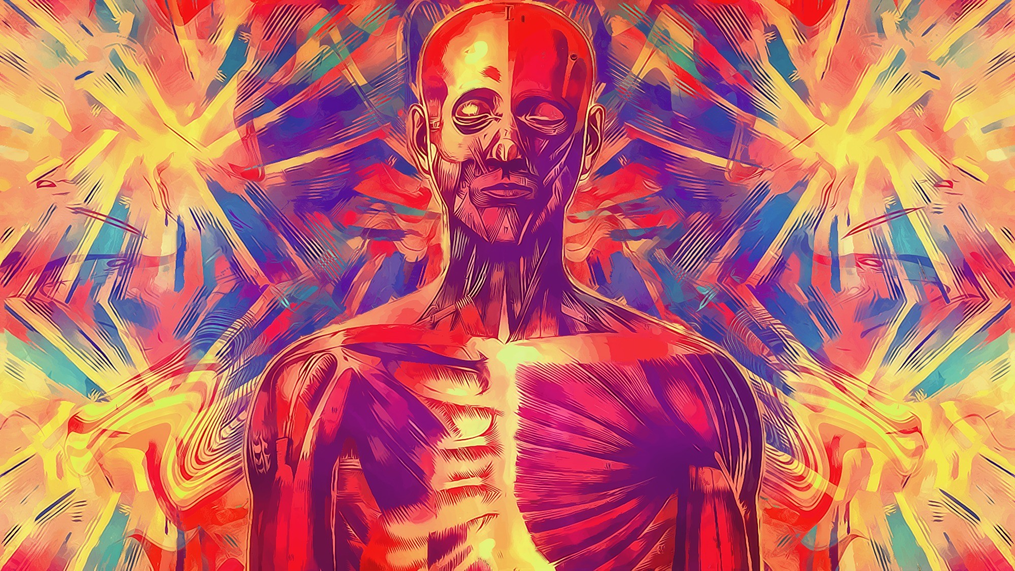 Anatomia umana, Muscoli, Arte psichedelica, Colorato, 16:9 Full HD, sfondo widescreen