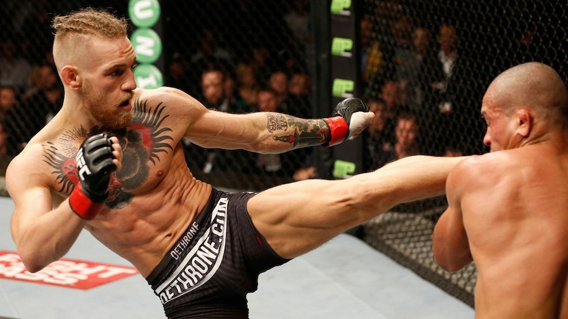 Conor McGregor, Calcio, Combattimento, Ottagono, Full HD, sfondo per portatile