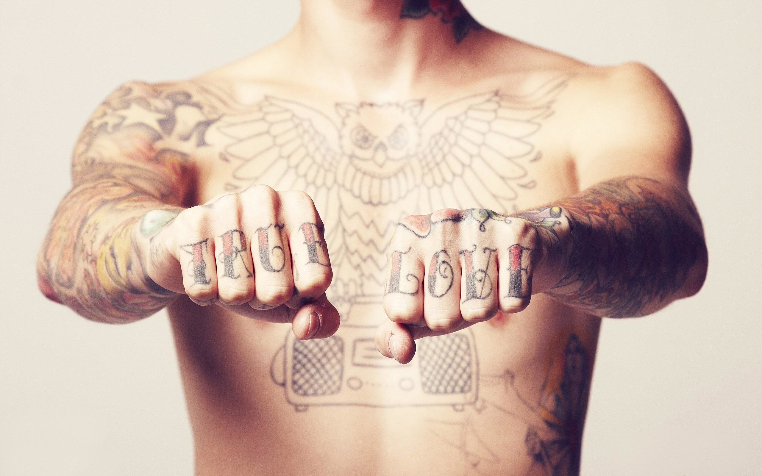 Tatuaggi, Nocche, Gufo, Petto, 2K 1600p, sfondo desktop
