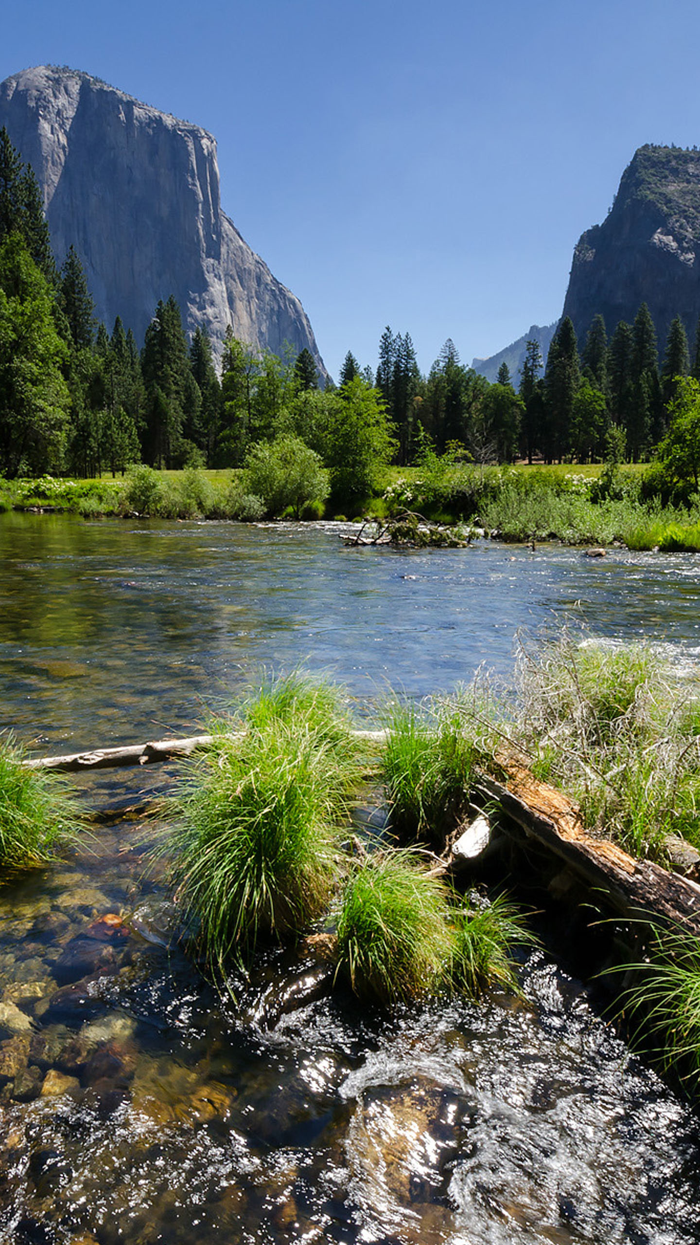 Parco nazionale di Yosemite, Fiume, Montagne, Foresta, QHD+, sfondo per iPhone e Android
