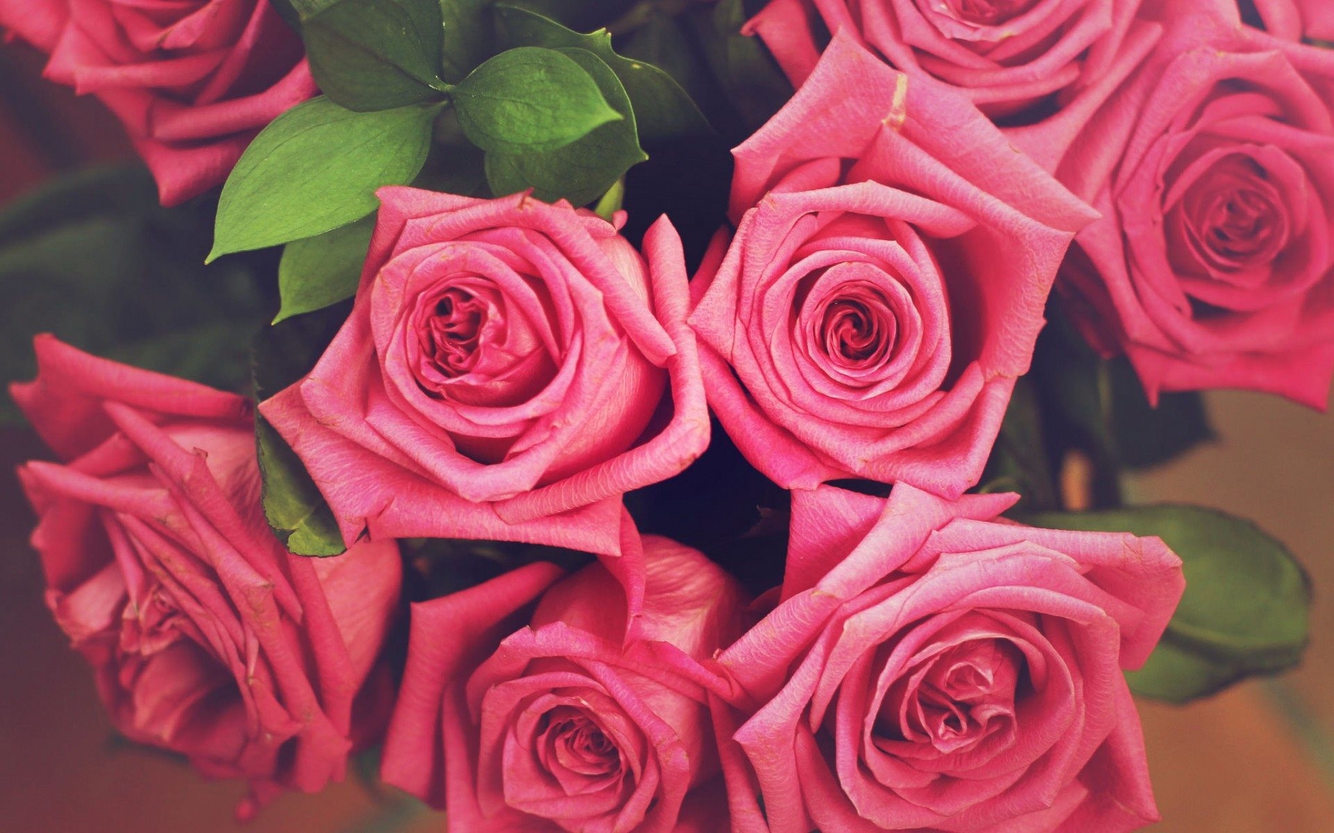 Rose rosa, Mazzo, Fiori, Petali, Full HD, sfondo per PC