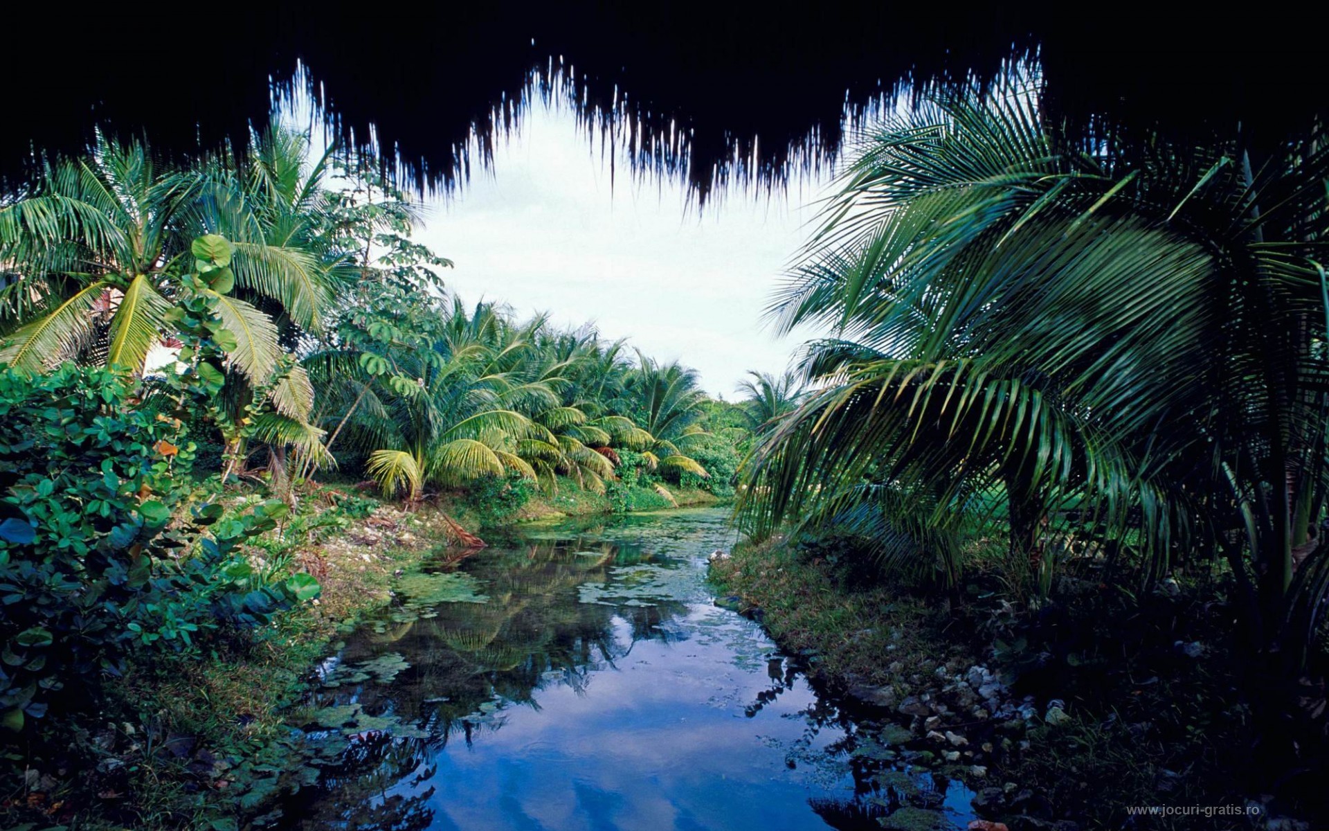 Giungla, Palme, Fiume, Grotta, Full HD, sfondo per PC e portatile