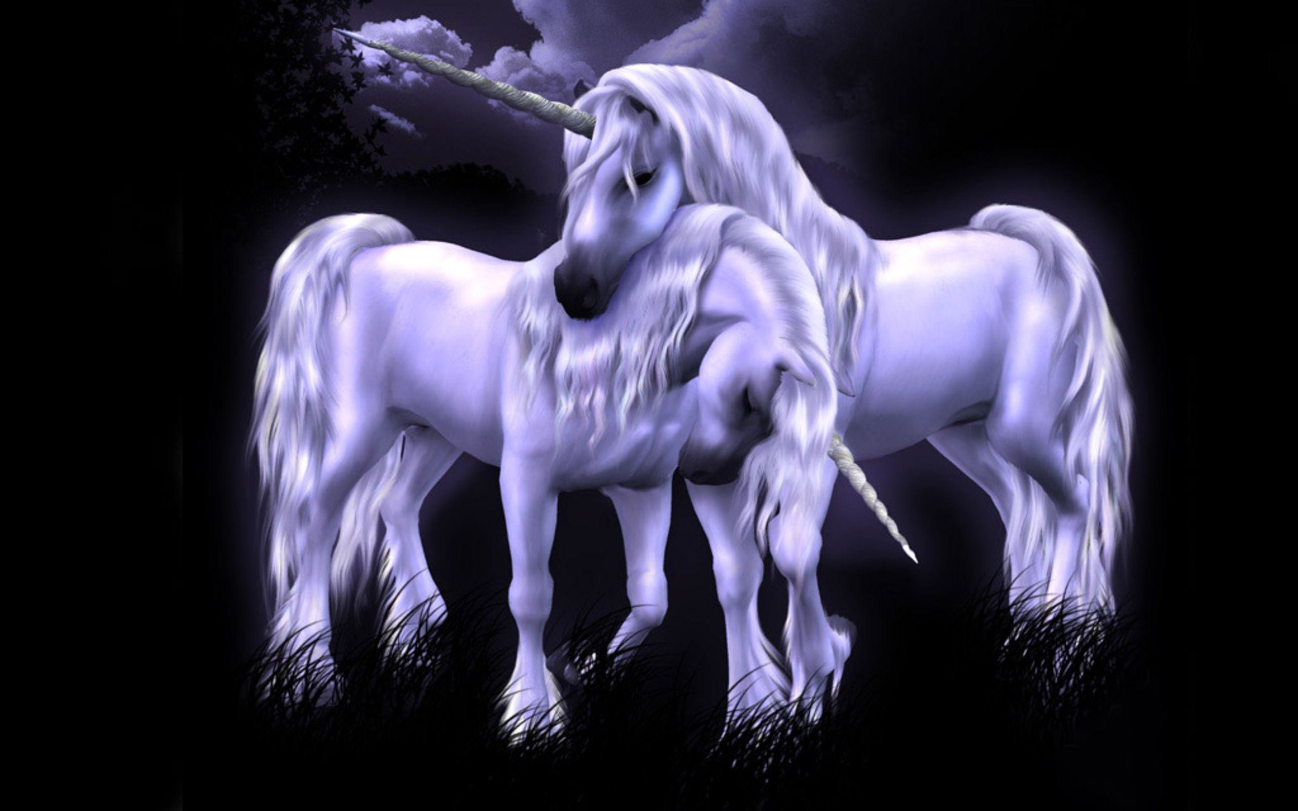 Unicorni, Fantasy, Viola, Sfondo nero, 2K, wallpaper per PC