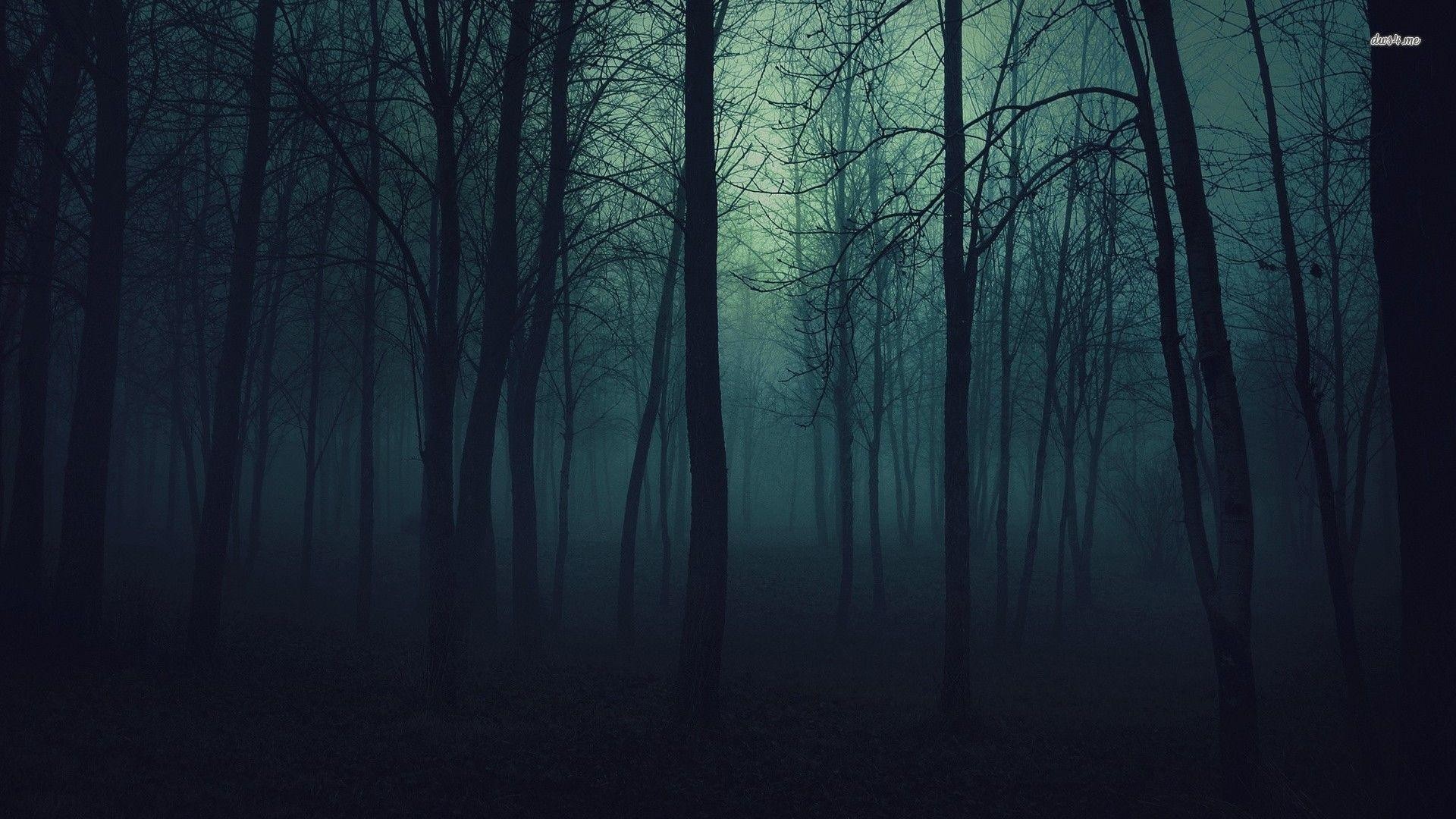 Foresta oscura, Nebbia, Alberi spogli, Toni verde acqua, Full HD, wallpaper per PC