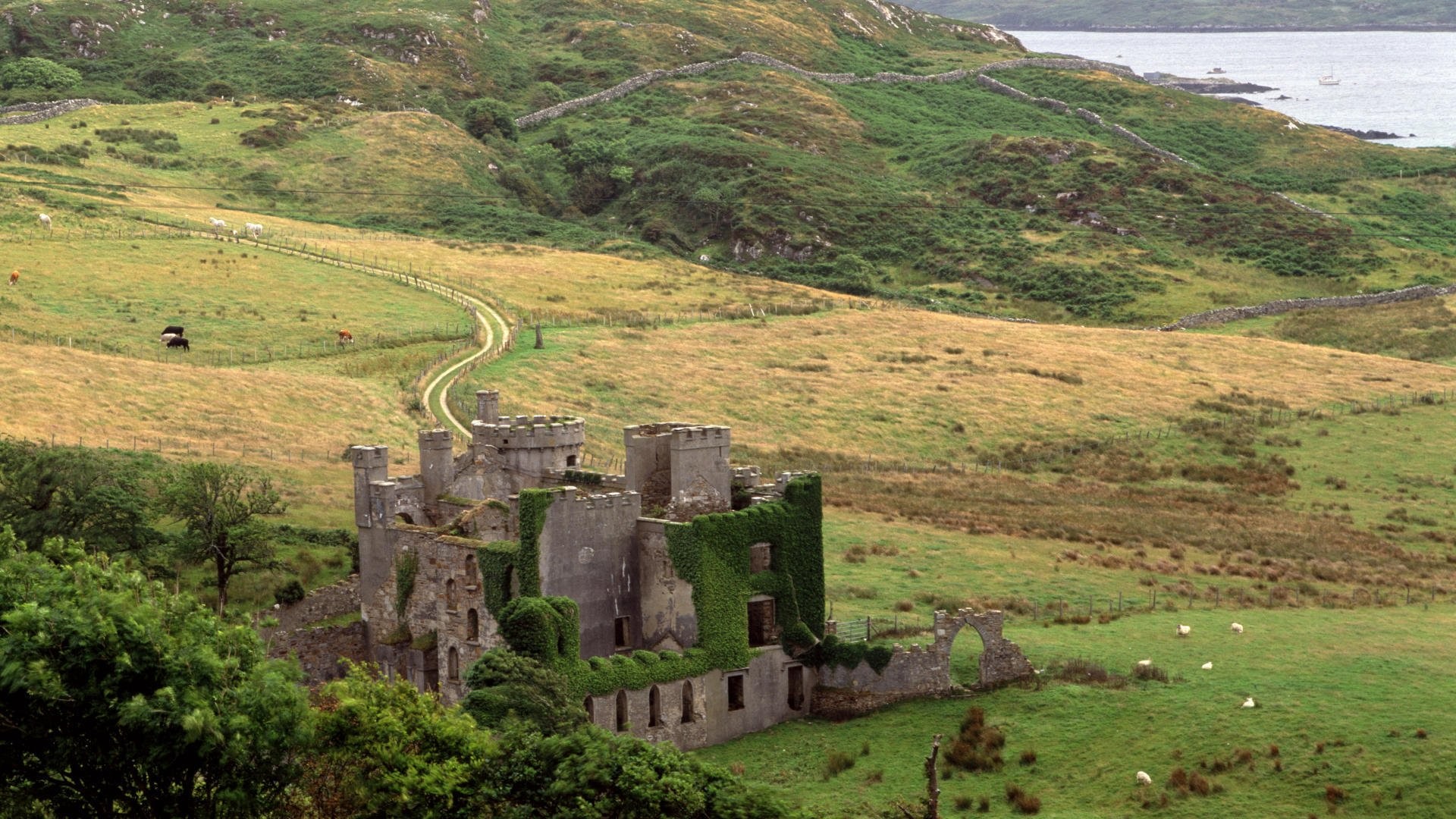 Castello di Clifden, Connemara, Irlanda, Rovine, Colline, Full HD, wallpaper per PC
