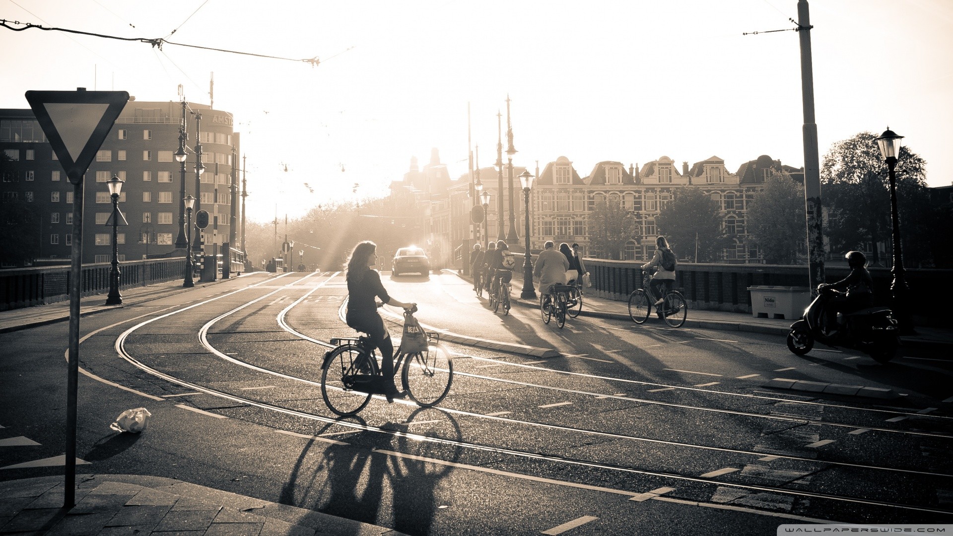 Amsterdam, Ciclista, Binari del tram, Controluce, Bianco e nero, sfondo widescreen Full HD