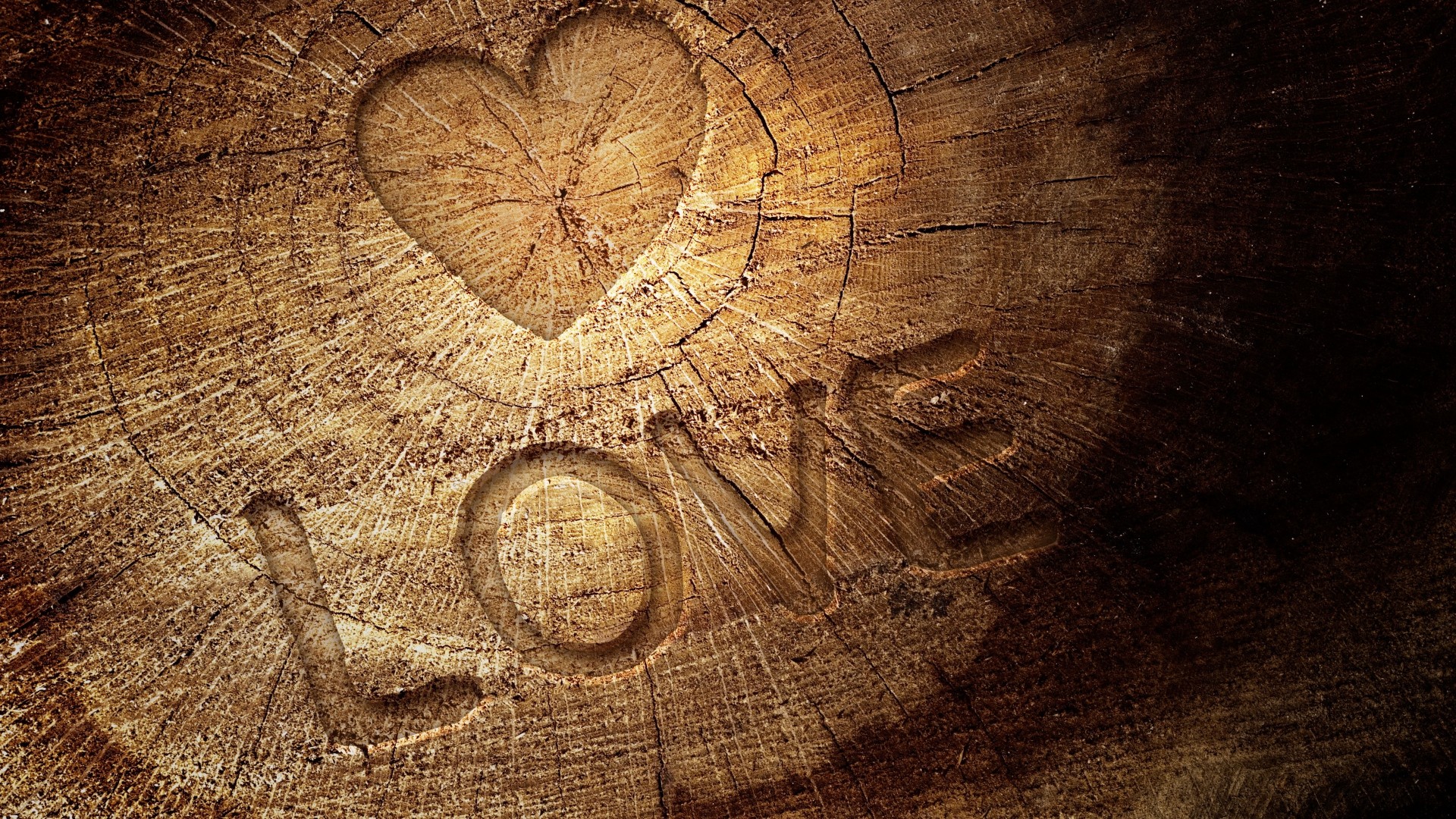 Cuore, Love, Incisione nel legno, Anelli del tronco, 16:9 Full HD, wallpaper widescreen