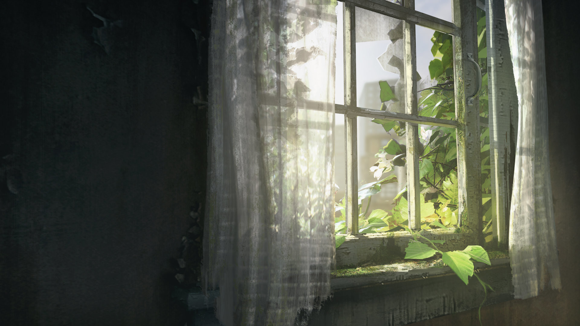 The Last of Us, Finestra, Piante, Interno abbandonato, Luce del sole, sfondo 16:9 Full HD