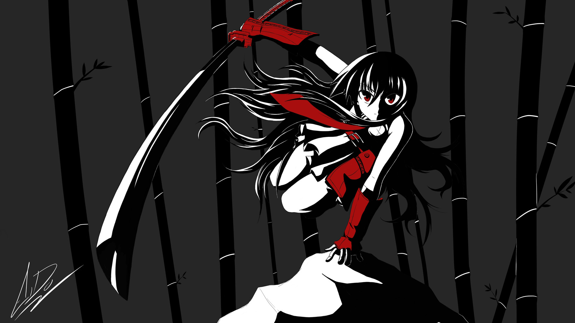 Akame, Akame ga Kill!, Bambù, Bianco e nero, 1920x1080, immagine di sfondo