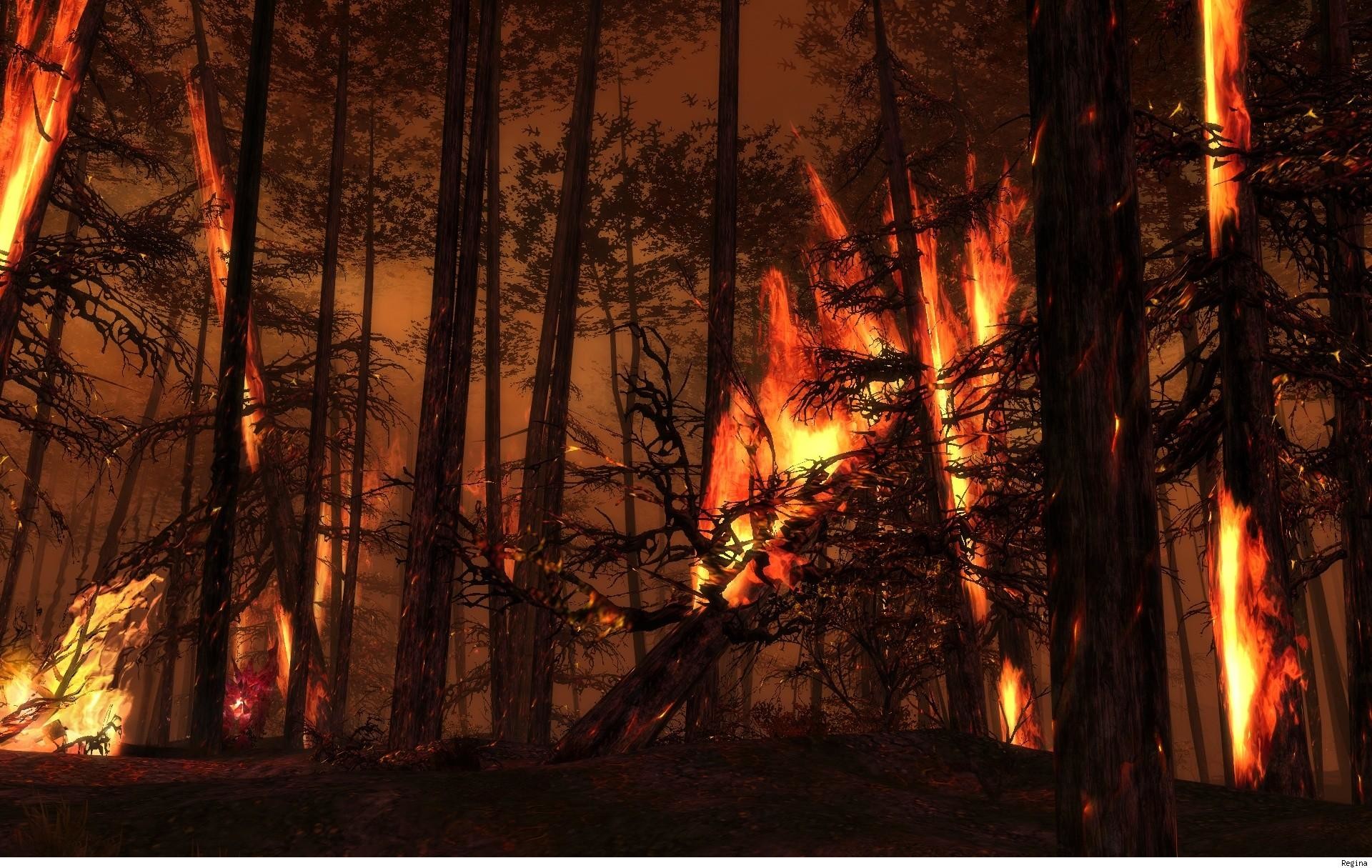Incendio boschivo, Foresta, Alberi in fiamme, Notte, 1920x1215, sfondo MacBook Pro