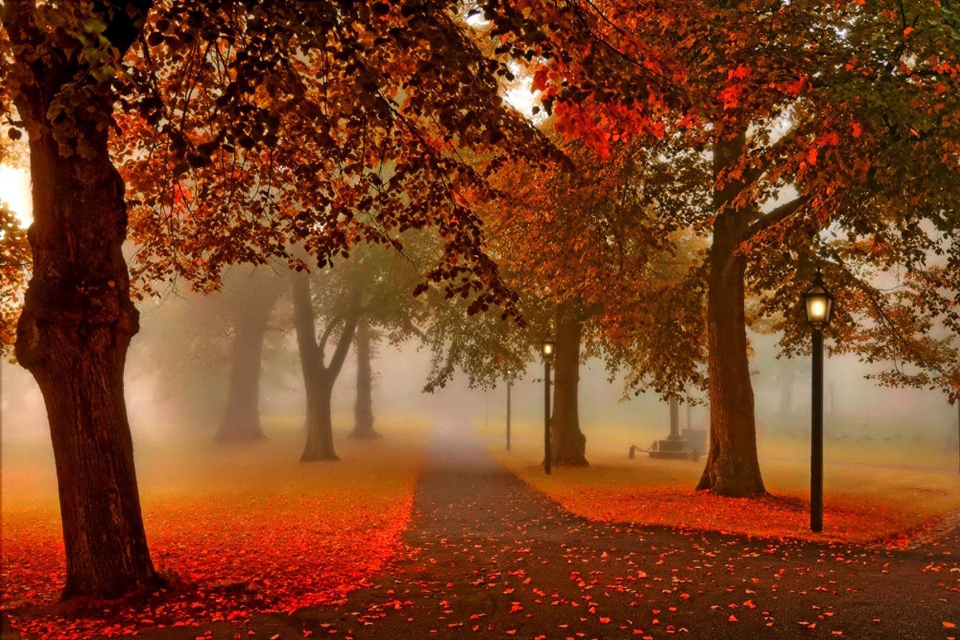 Parco, Nebbia, Lampione, Foglie rosse, Full HD, sfondo per portatile