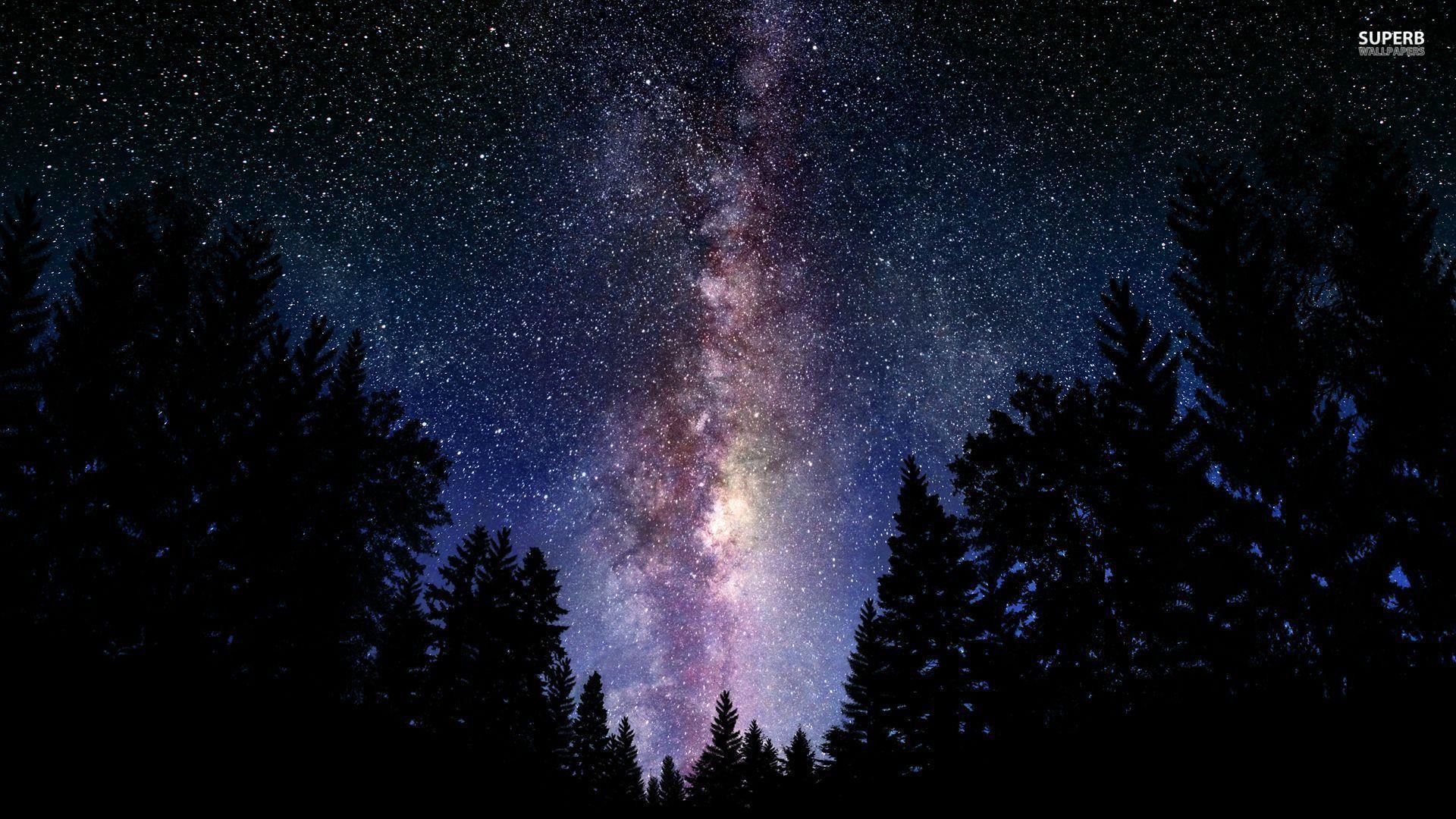Via Lattea, Foresta, Abeti, Silhouette, Full HD, sfondo per PC e portatile