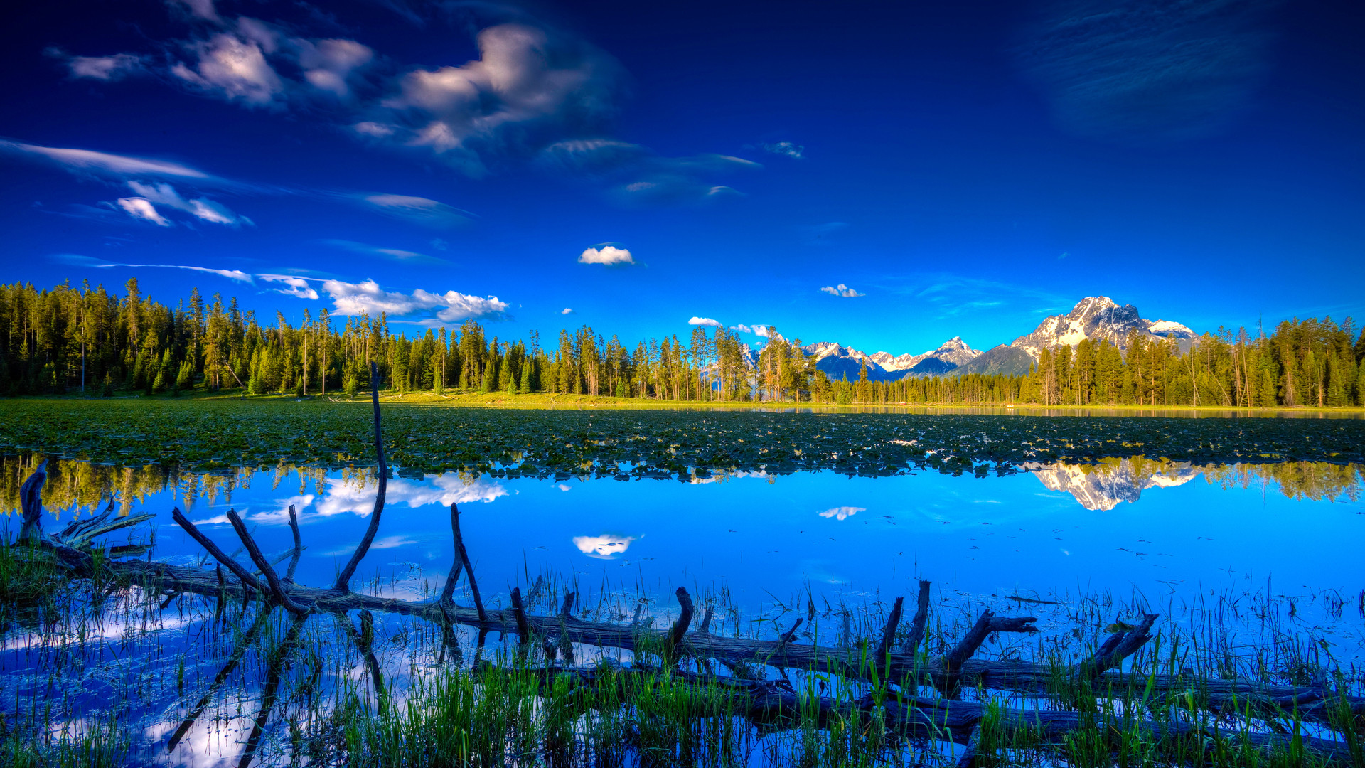 Lago, Montagne, Foresta, Riflesso, HDR, wallpaper per tablet