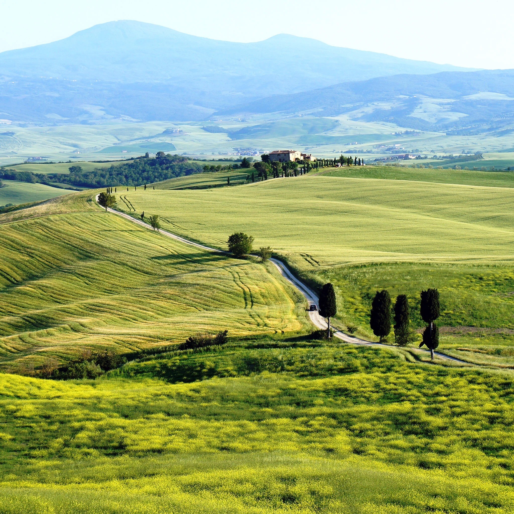 Val d'Orcia, Toscana, Colline, Cipressi, Full HD, sfondo per iPad e tablet
