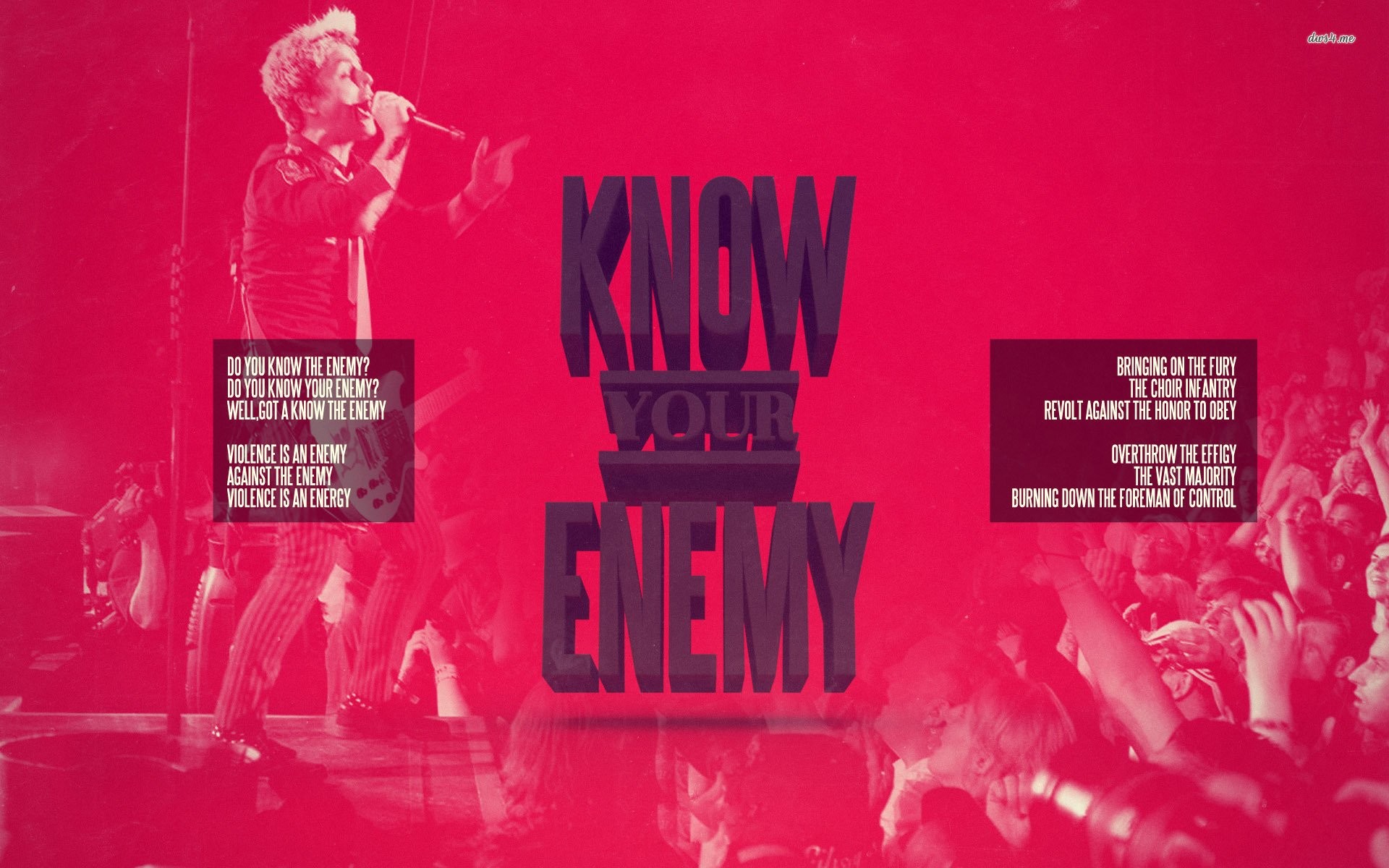Know Your Enemy, Green Day, Concerto, Testo, Rosa, 16:10 Full HD, sfondo widescreen