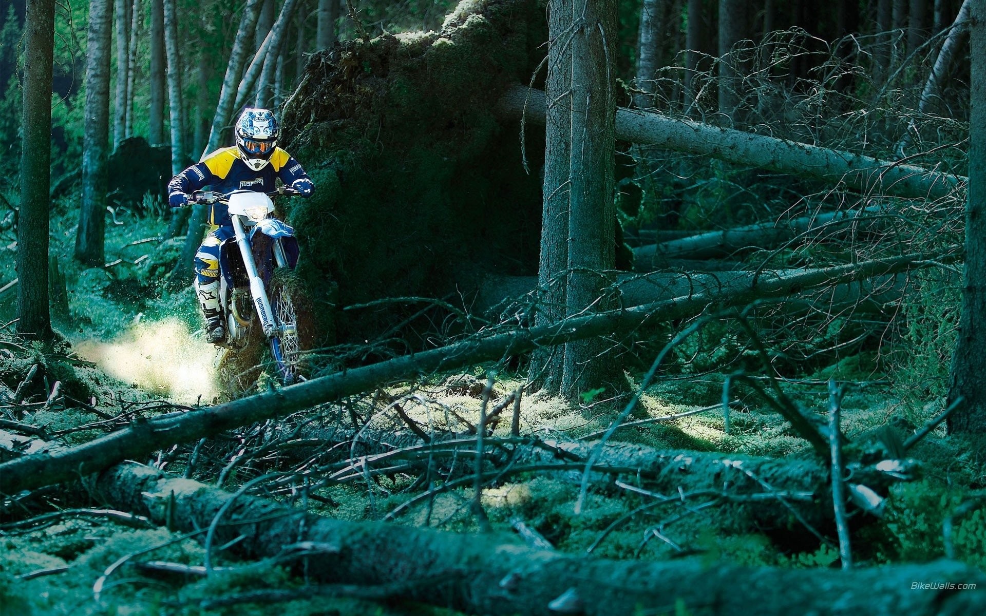 Motocross, Enduro, Foresta, Pilota, Full HD, sfondo desktop