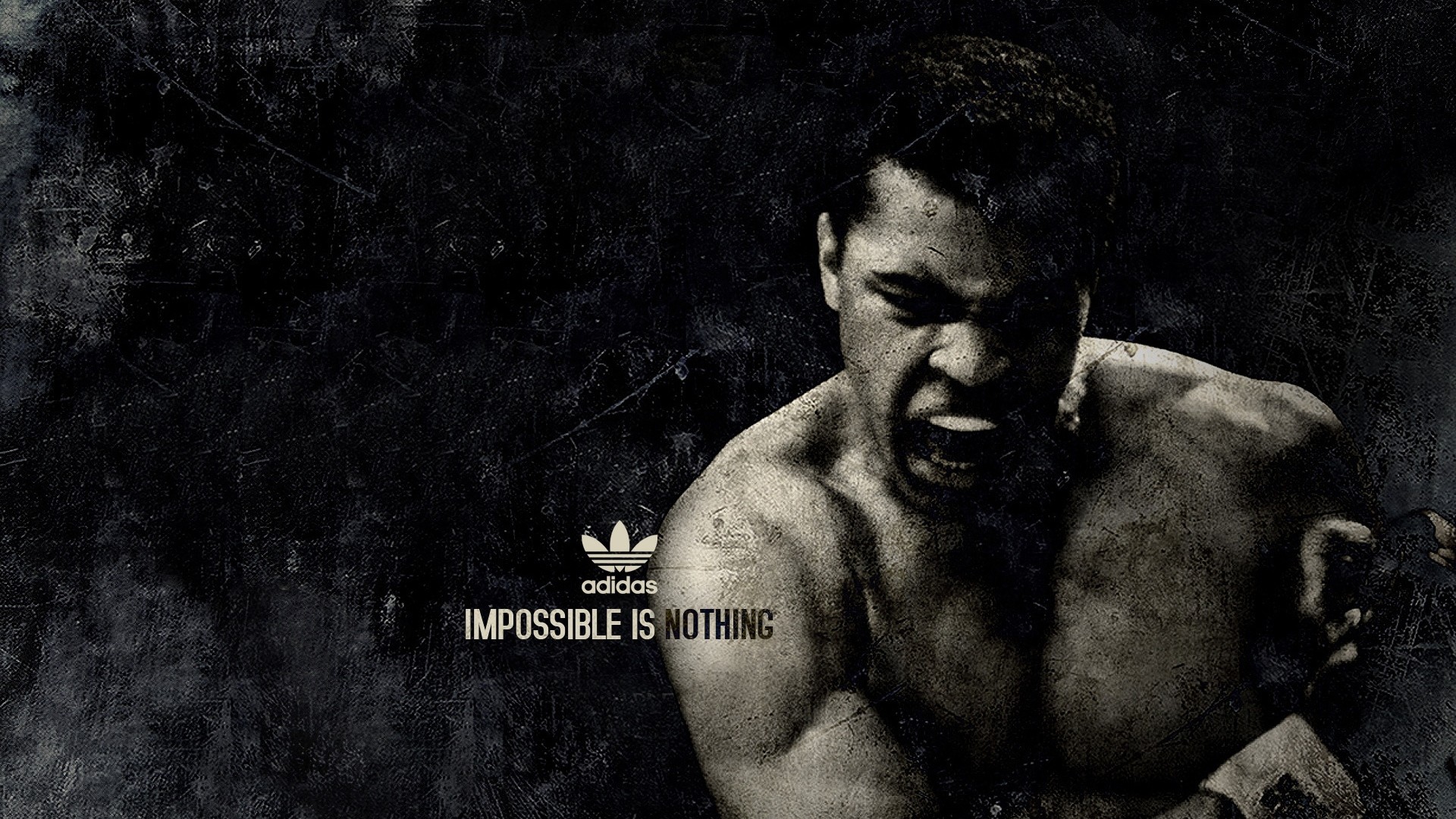 Muhammad Ali, Adidas, Impossible is Nothing, Pugile, Full HD, sfondo Windows 11