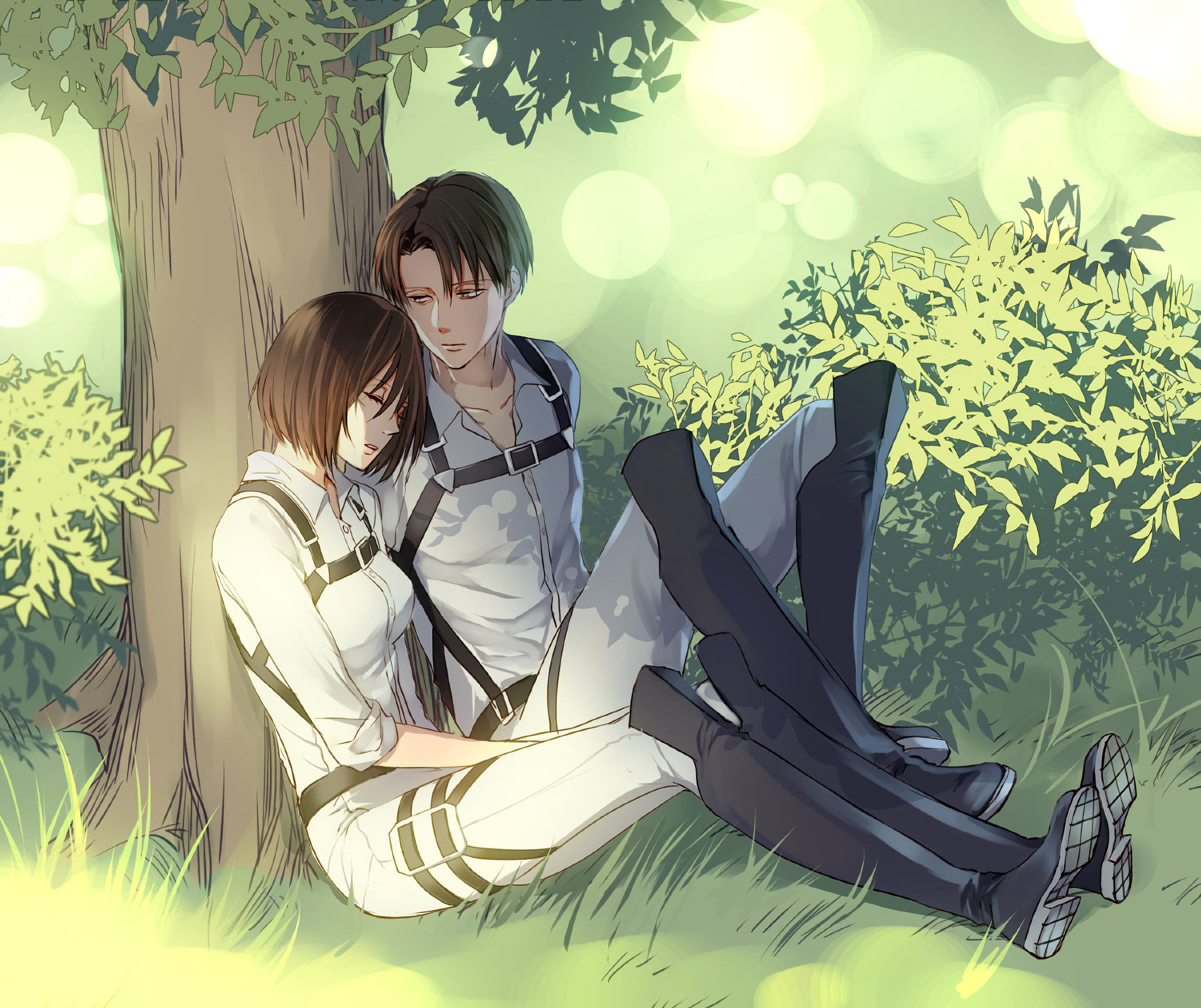 Levi Ackerman, L'attacco dei giganti, Albero, Full HD, sfondo per PC