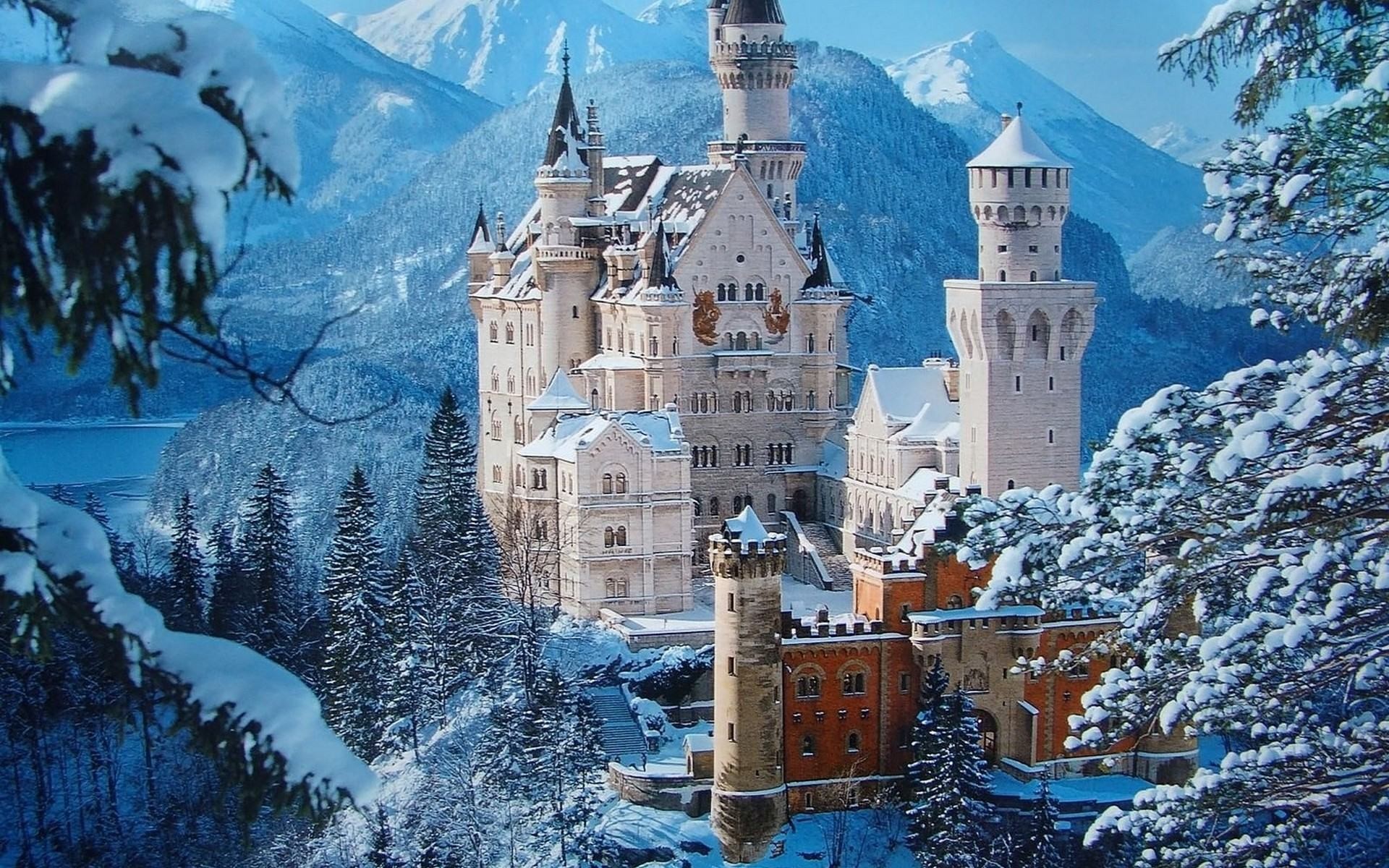 Castello di Neuschwanstein, Baviera, Germania, Neve, Abeti, 16:10 Full HD, sfondo widescreen