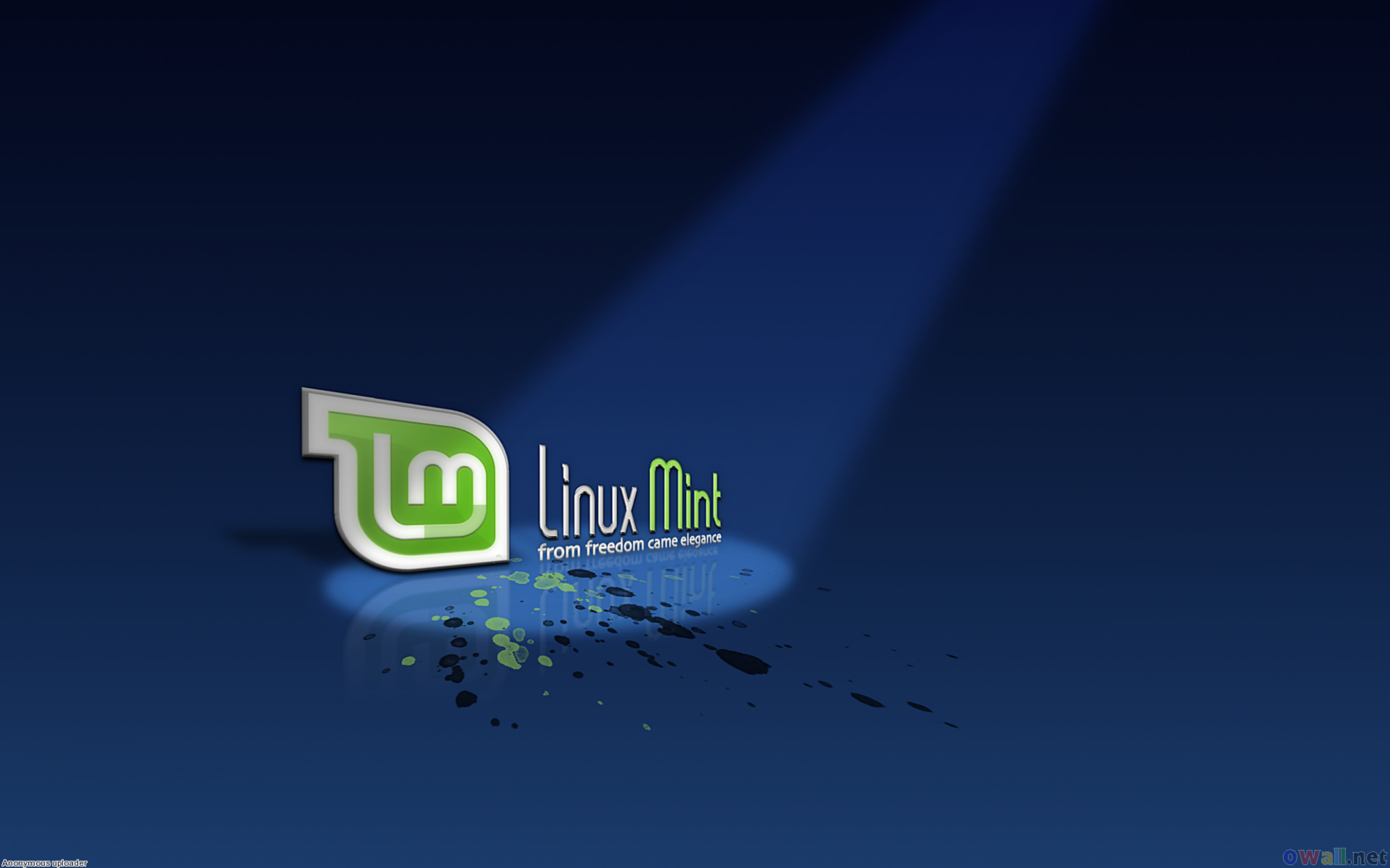 Wallpaper Wallpaper Linux Mint Logo, 2K, sfondo per PC e portatile