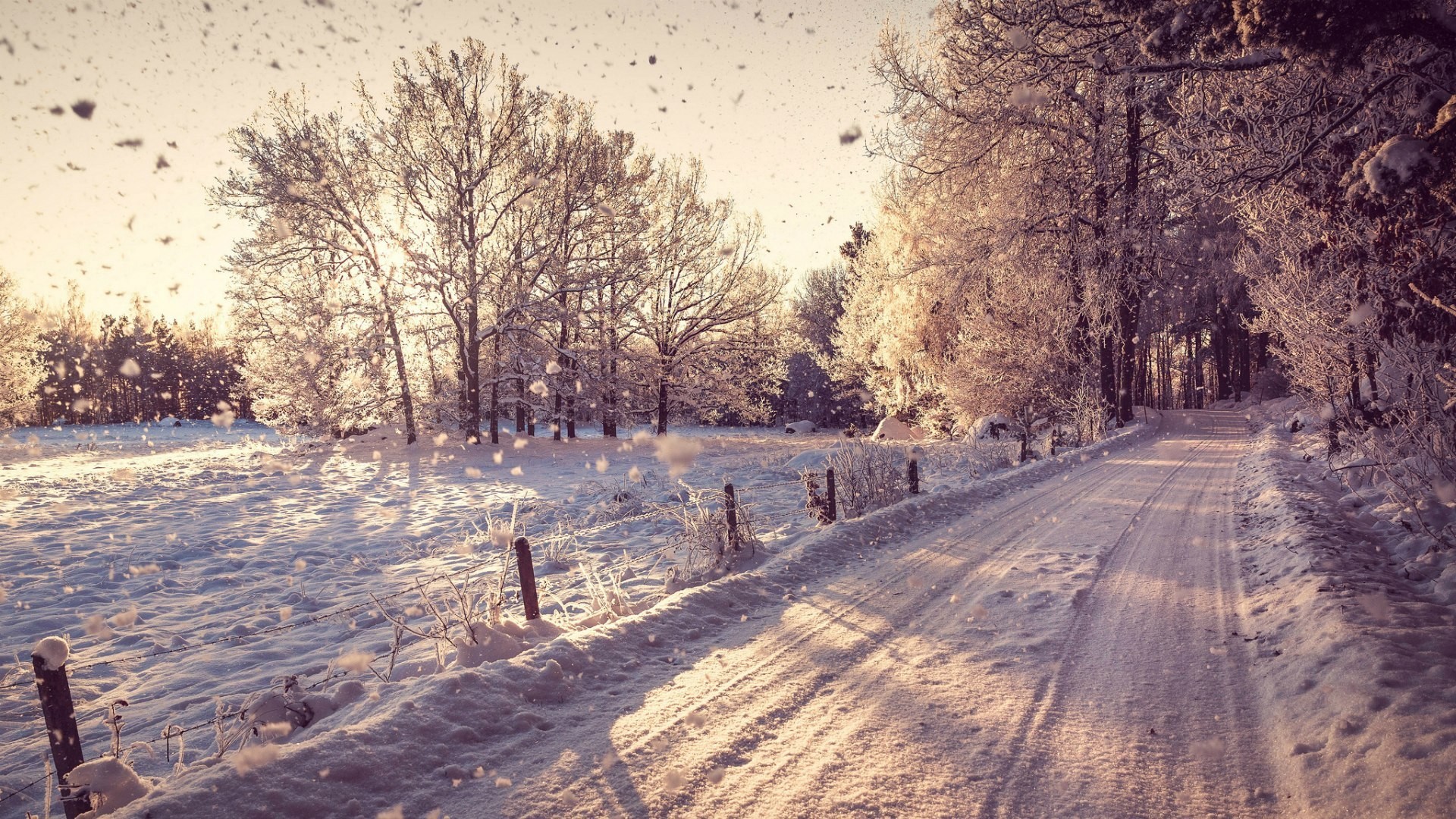 Strada innevata, Alberi, Inverno, Vintage, sfondo desktop PC