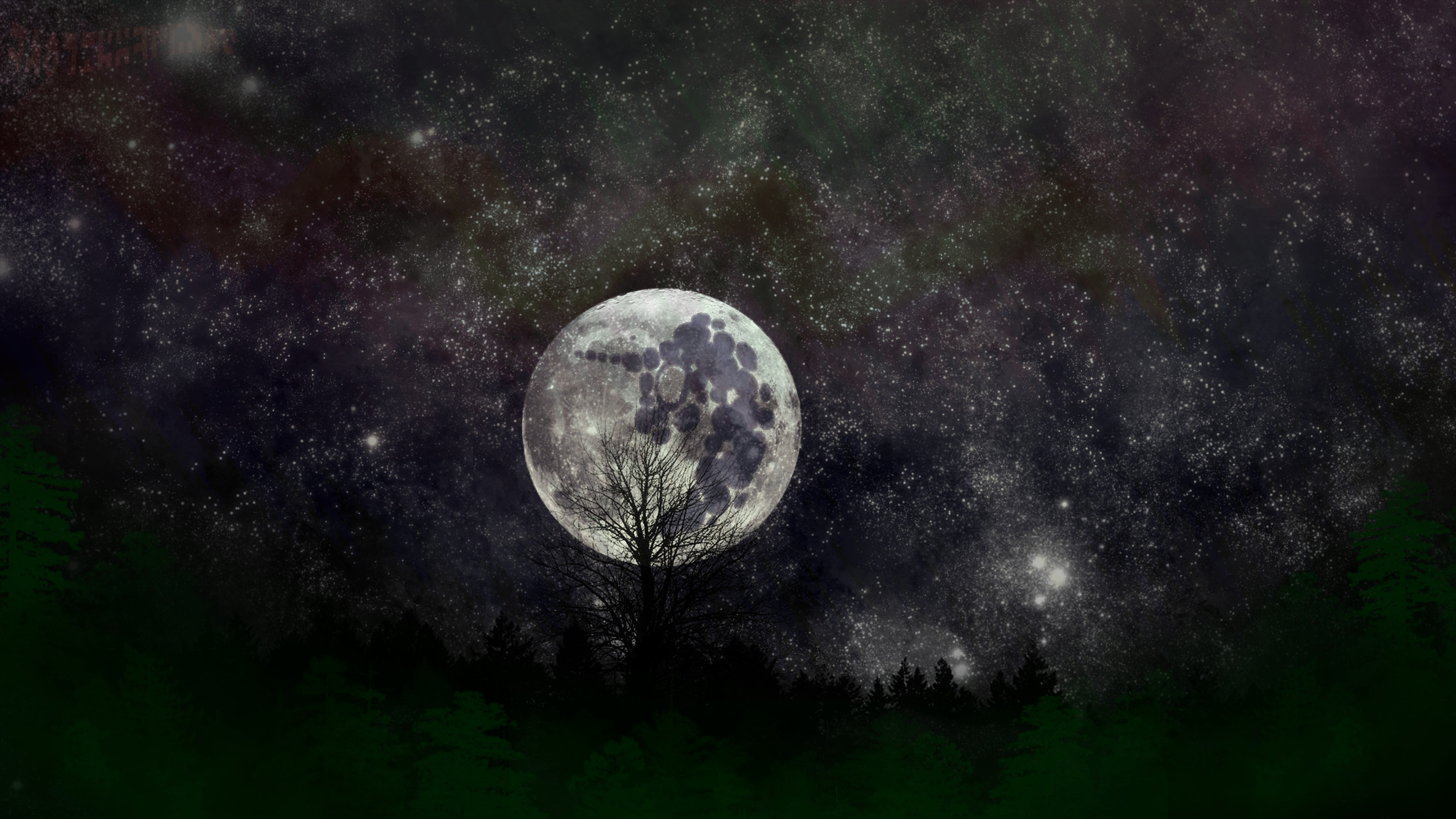 Luna piena, Albero, Cielo stellato, Notte, 16:9 Full HD, sfondo widescreen