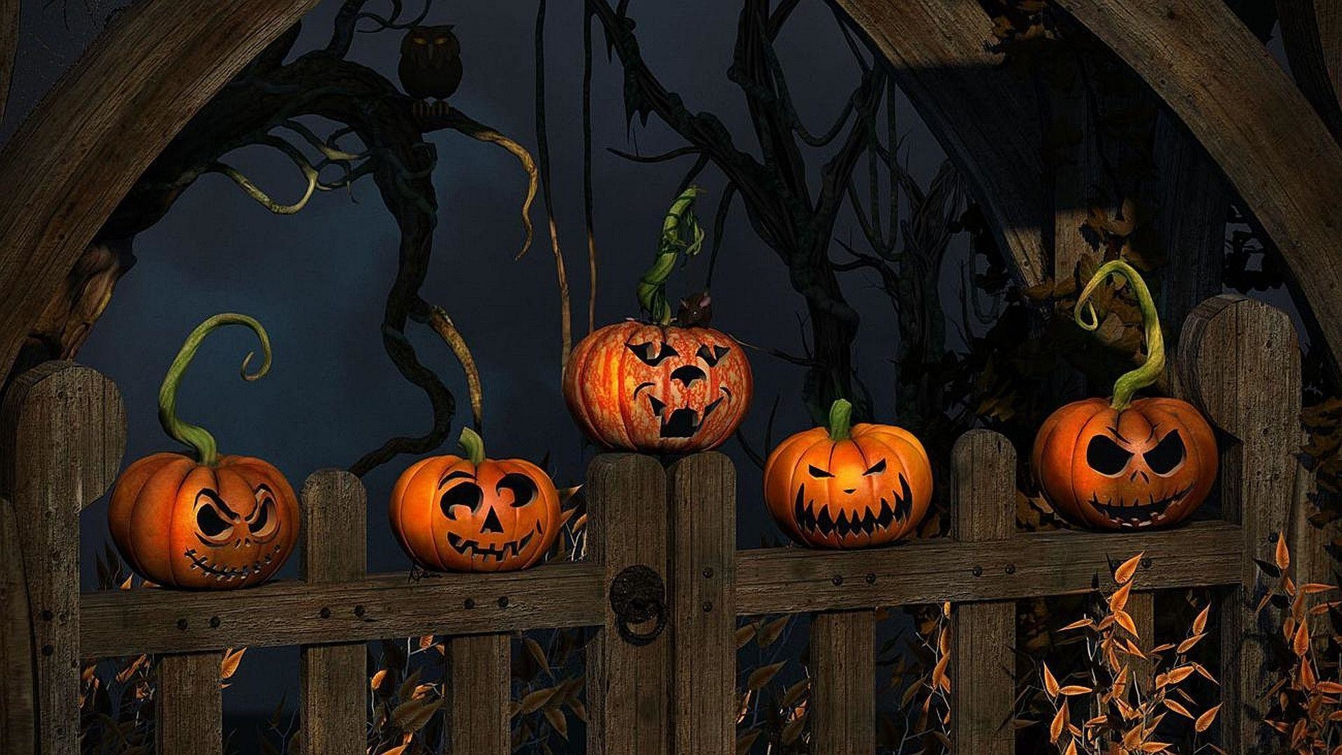 Jack-o'-lantern, Staccionata, Spaventapasseri, Full HD, wallpaper per PC
