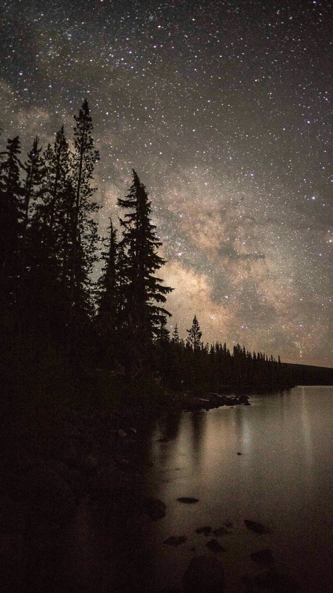 Via Lattea, Foresta, Lago, Notte, Full HD, wallpaper per smartphone
