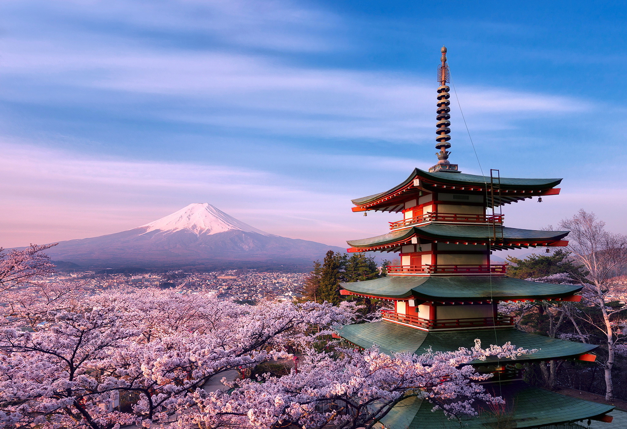 Pagoda Chureito, Monte Fuji, Giappone, Ciliegi in fiore, Full HD, sfondo desktop