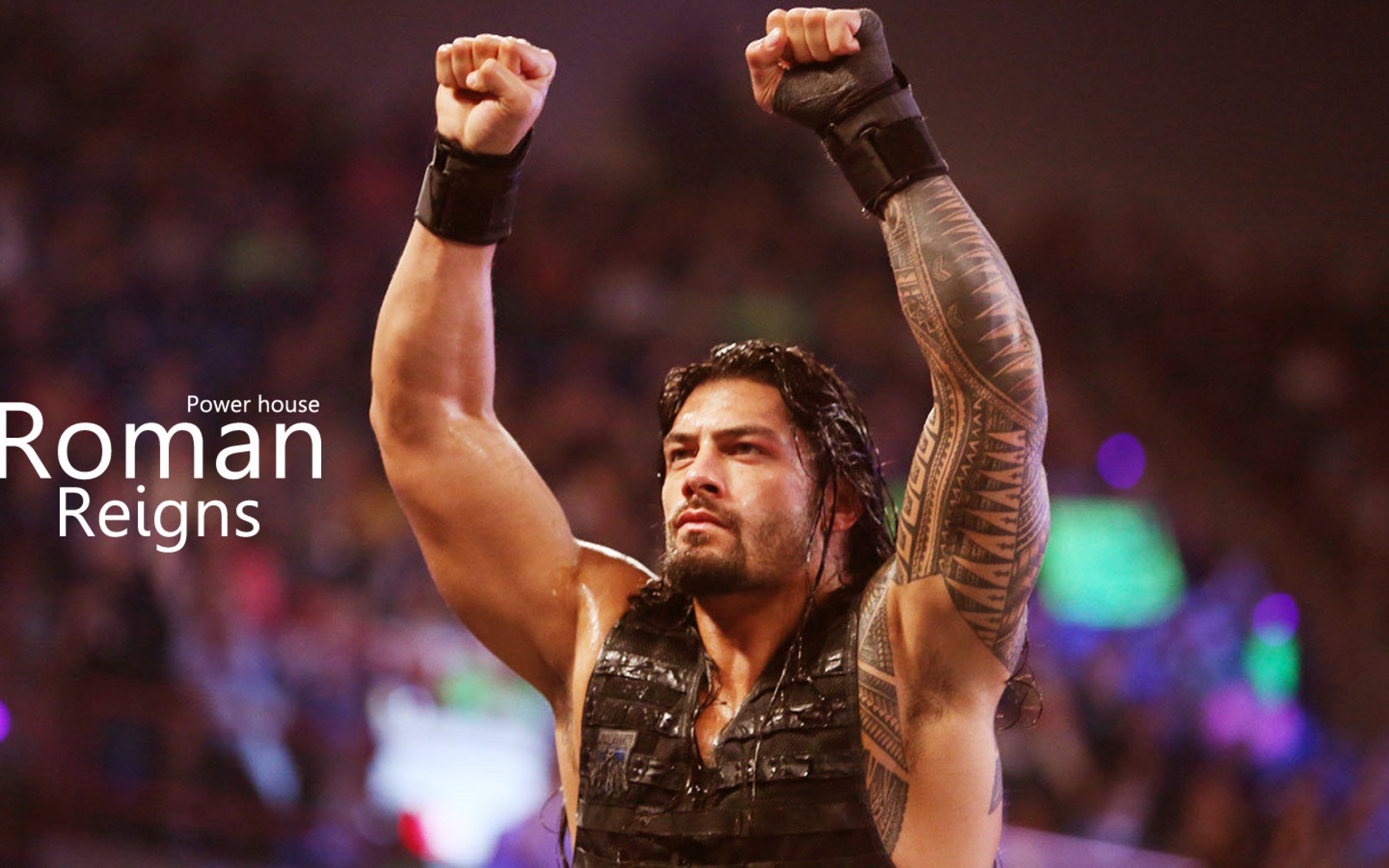 Roman Reigns, WWE, Pugni alzati, Arena, 2K, sfondo per PC e portatile