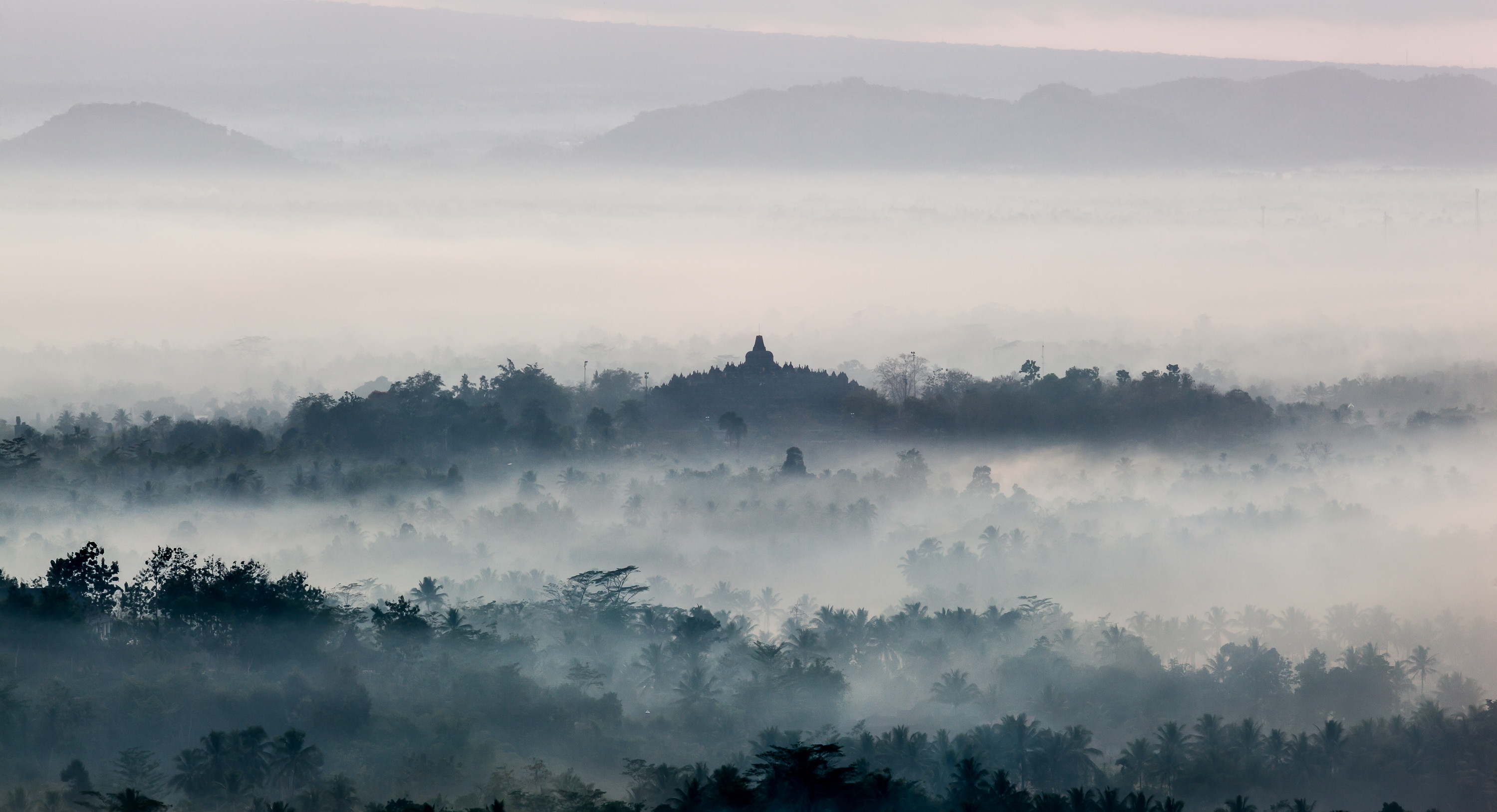 Borobudur, Nebbia, Giava, Indonesia, Foresta, 2K, sfondo desktop