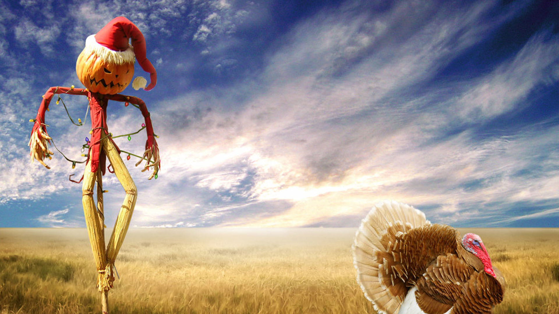 Spaventapasseri, Tacchino, Cappello di Babbo Natale, Campo di grano, Cielo, Umorismo, sfondo per PC