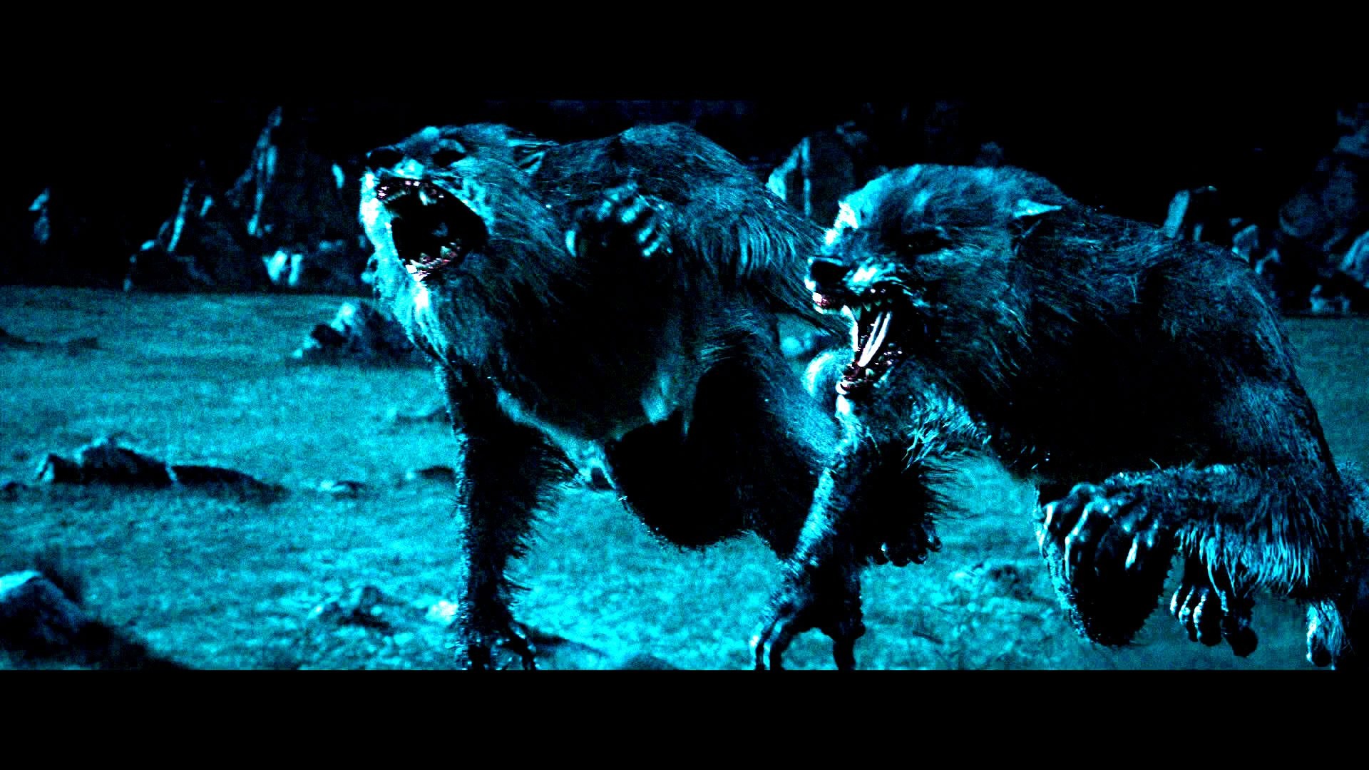 Lupi mannari, Underworld, Blu, Battaglia, 1920x1080, sfondo per PC