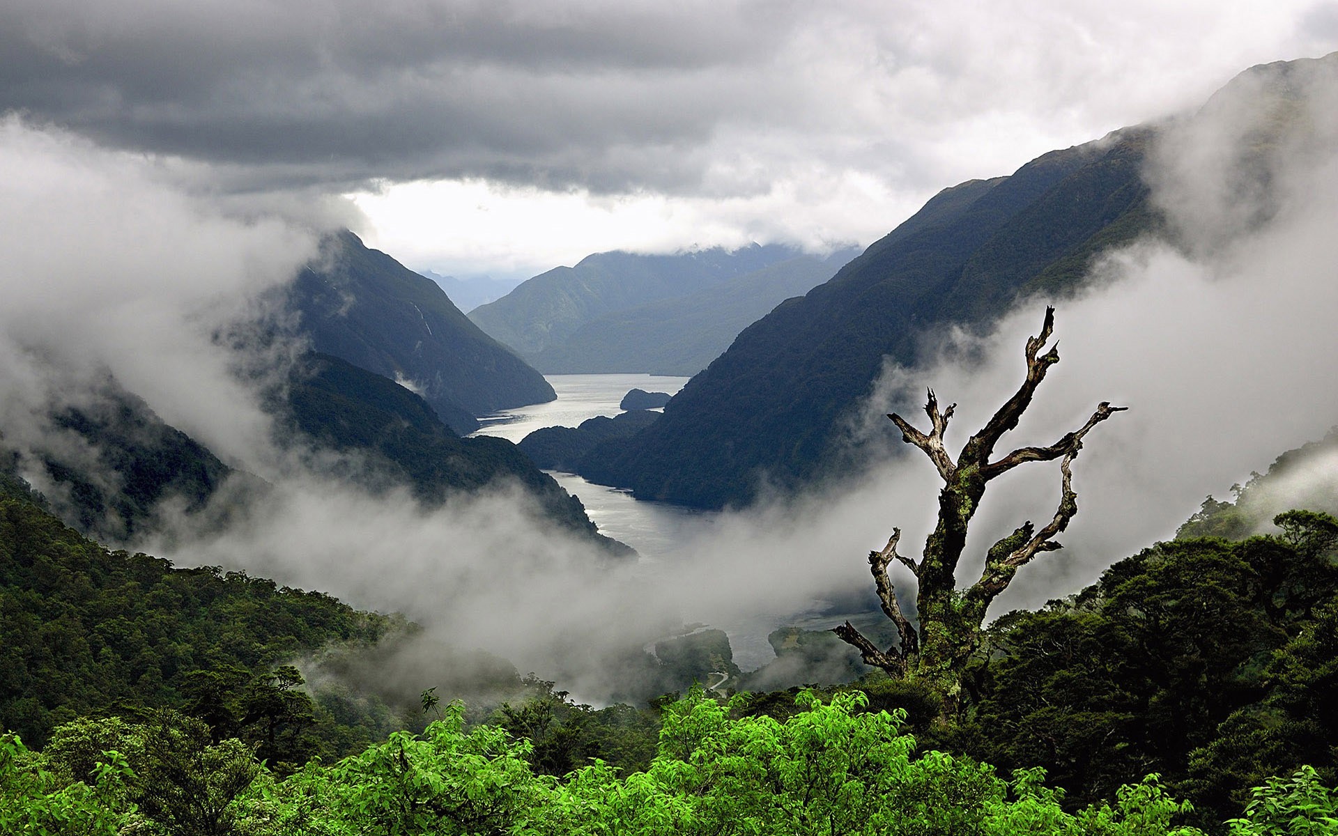 Fiordo, Montagne, Nebbia, Foresta, Full HD, immagine di sfondo Mac