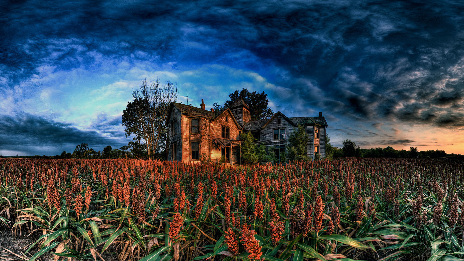 Casa di campagna, Campo di sorgo, Cielo drammatico, HDR, Full HD, sfondo per PC