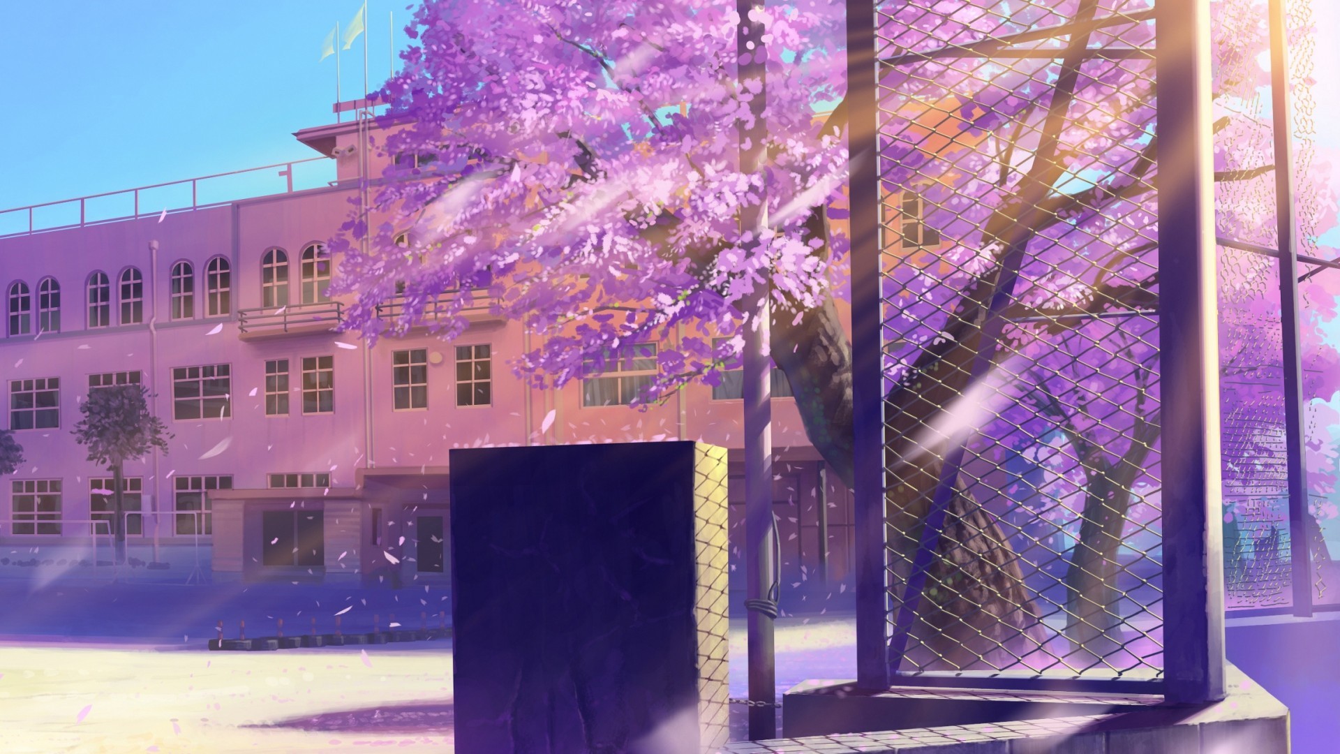 Edificio scolastico, Ciliegio in fiore, Cortile, Anime, Viola, 1920x1080, sfondo per PC