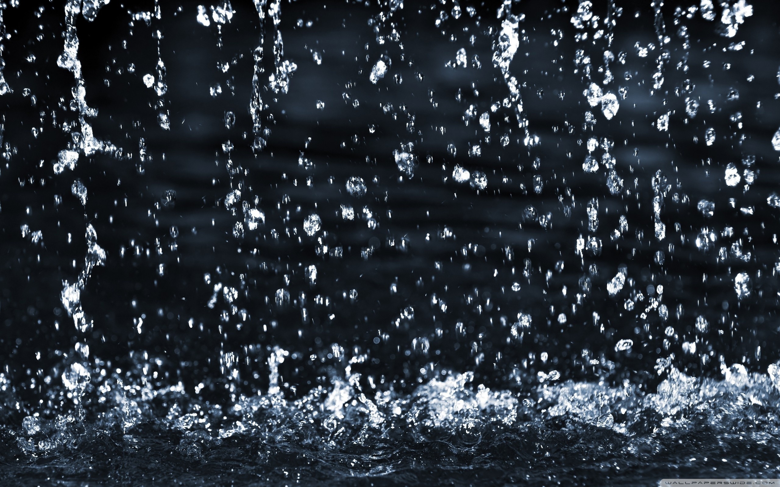 Pioggia, Gocce, Spruzzi, Sfondo nero, 2560x1600, wallpaper desktop