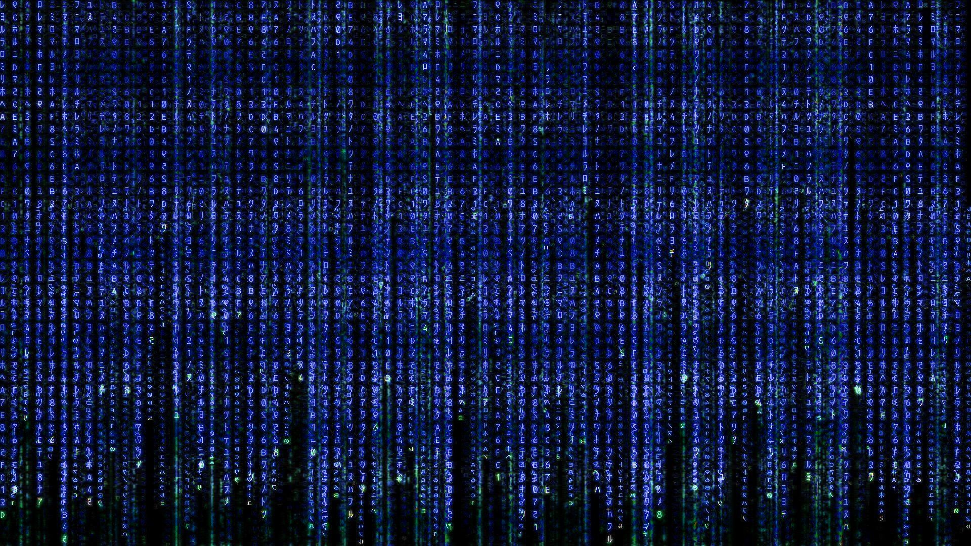 Codice binario, Pioggia digitale, Blu, 1920x1080, immagine di sfondo