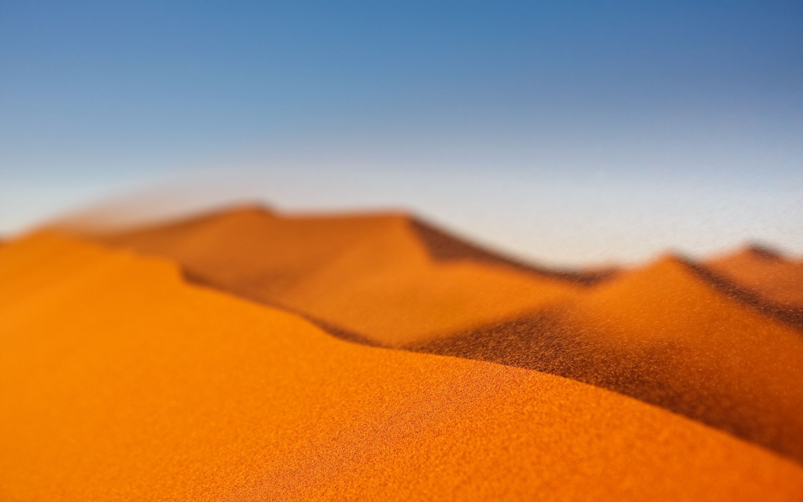 Dune di sabbia, Sfocato, Arancione, Cielo blu, 16:10 2K, sfondo widescreen