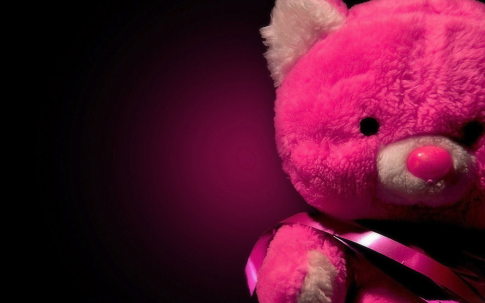 Orsacchiotto, Rosa, Peluche, Full HD, wallpaper per portatile