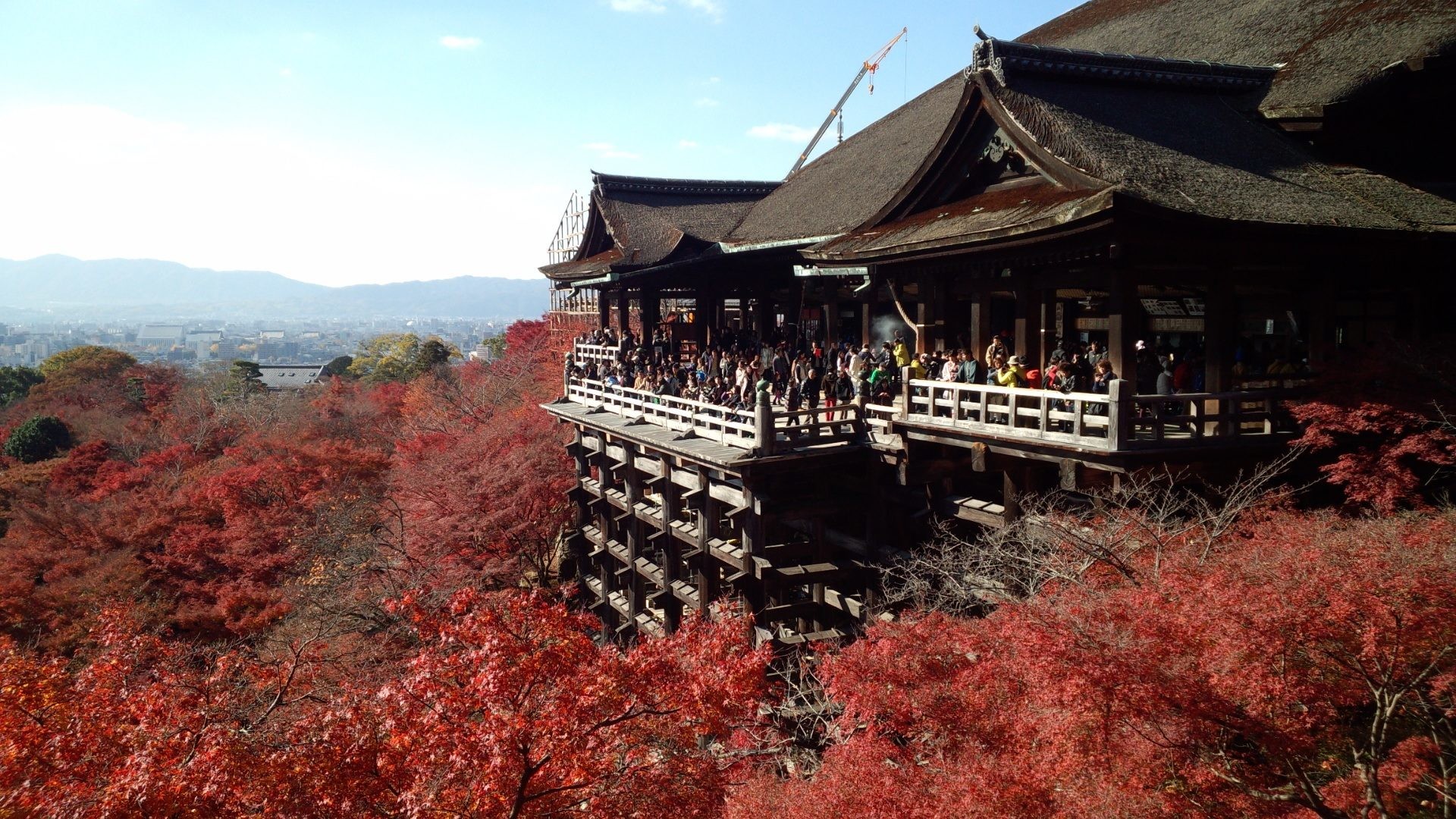 Kiyomizu-dera, Kyoto, Giappone, Autunno, Full HD, sfondo Windows 11