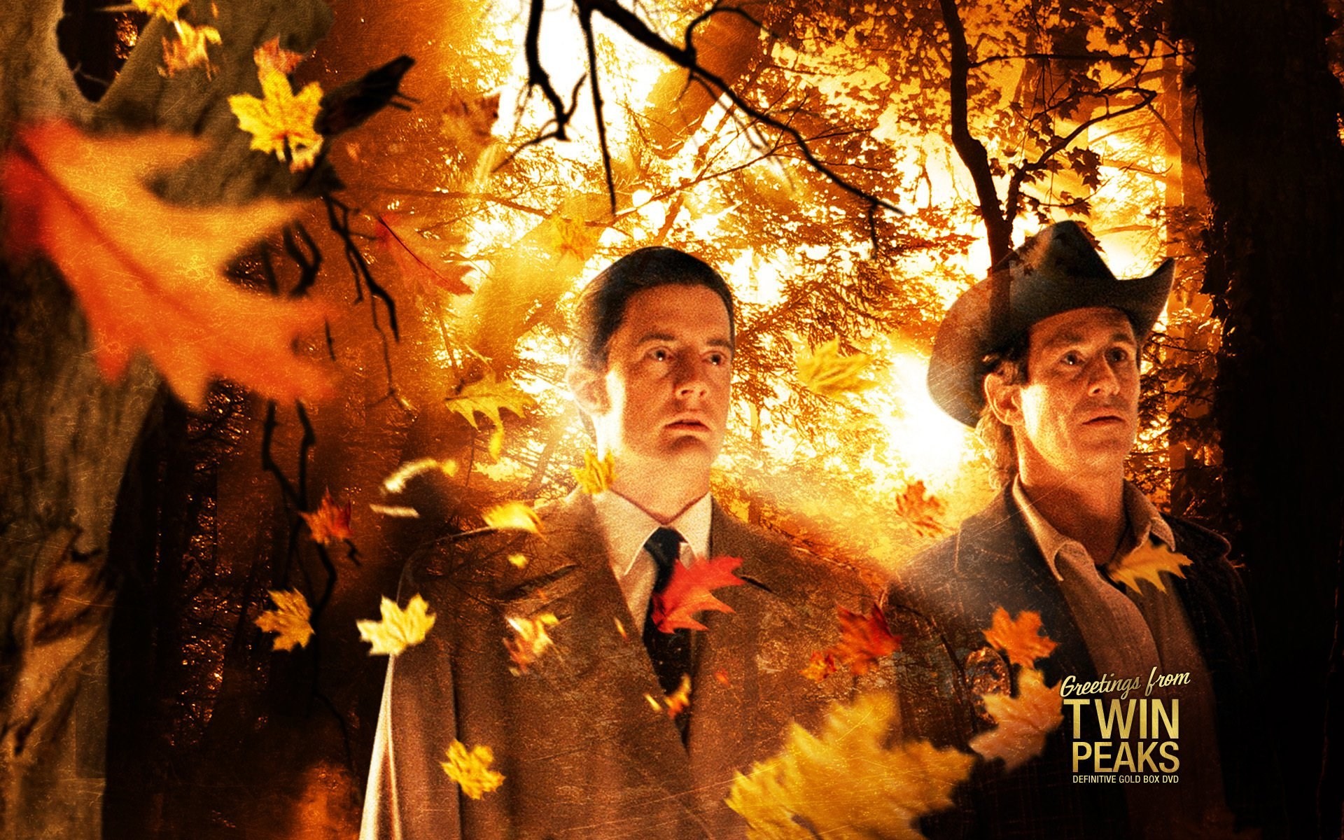 Dale Cooper, Kyle MacLachlan, Twin Peaks, Foglie autunnali, Greetings from Twin Peaks, sfondo per PC